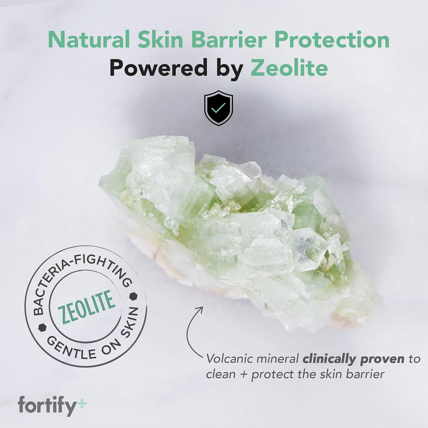 Fortify Natural Germ-Fighting Skincare Value Bundle - Facial Wipes - Skin Protecting + Cleansing | Helps Protect, Hydrate & Refresh skin | Clean Beauty | Made in Korea - 11 Pack | 330 Count