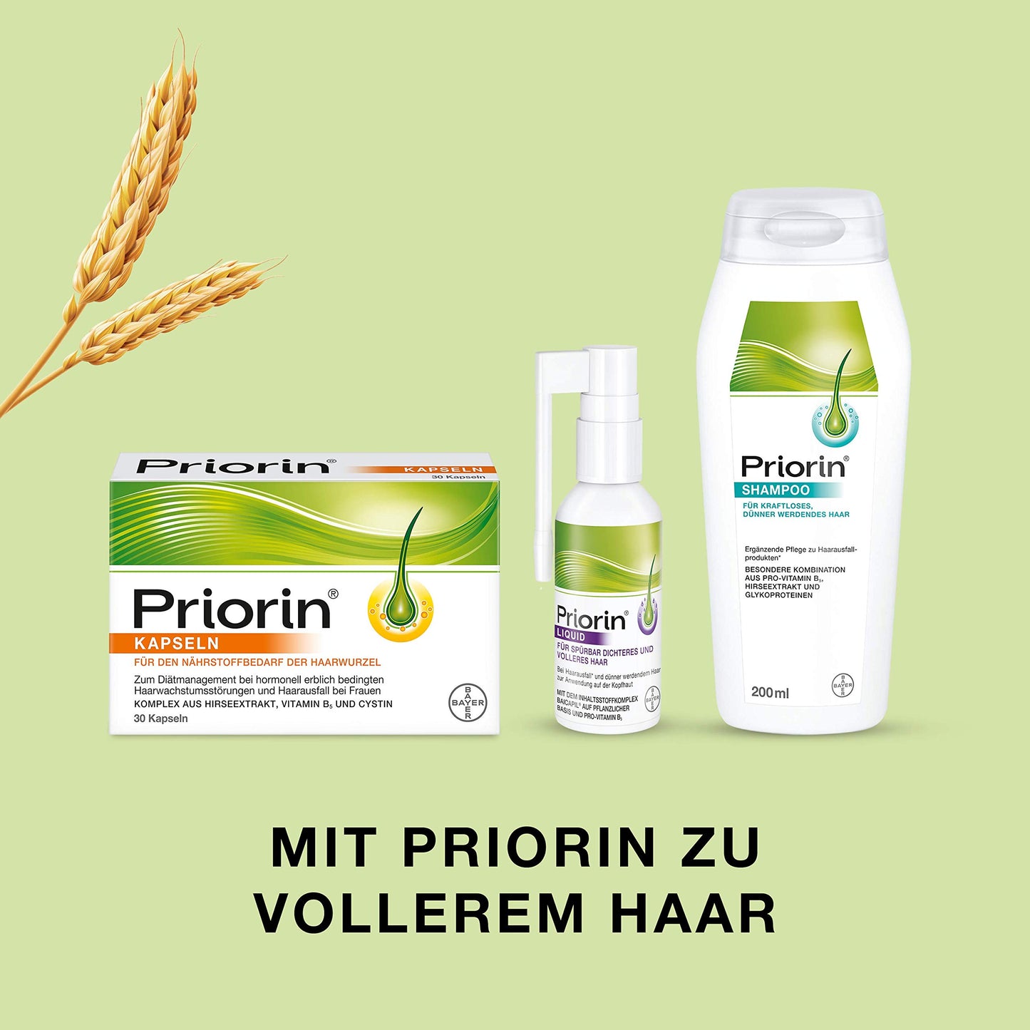 Bayer Priorin Shampoo Shampoo for Hair Loss Dry and Normal Hair 200ml/6.8oz