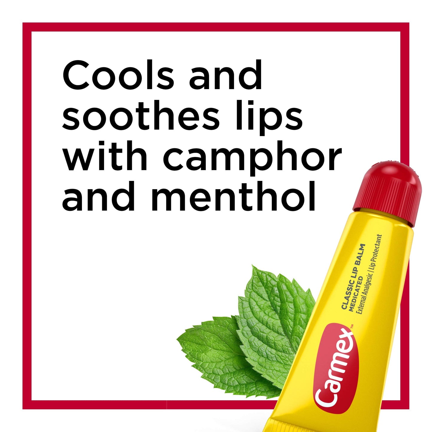 Carmex Medicated Lip Balm Tubes, Lip Moisturizer for Dry, Chapped Lips, 0.35 OZ - (6 Packs of 3)