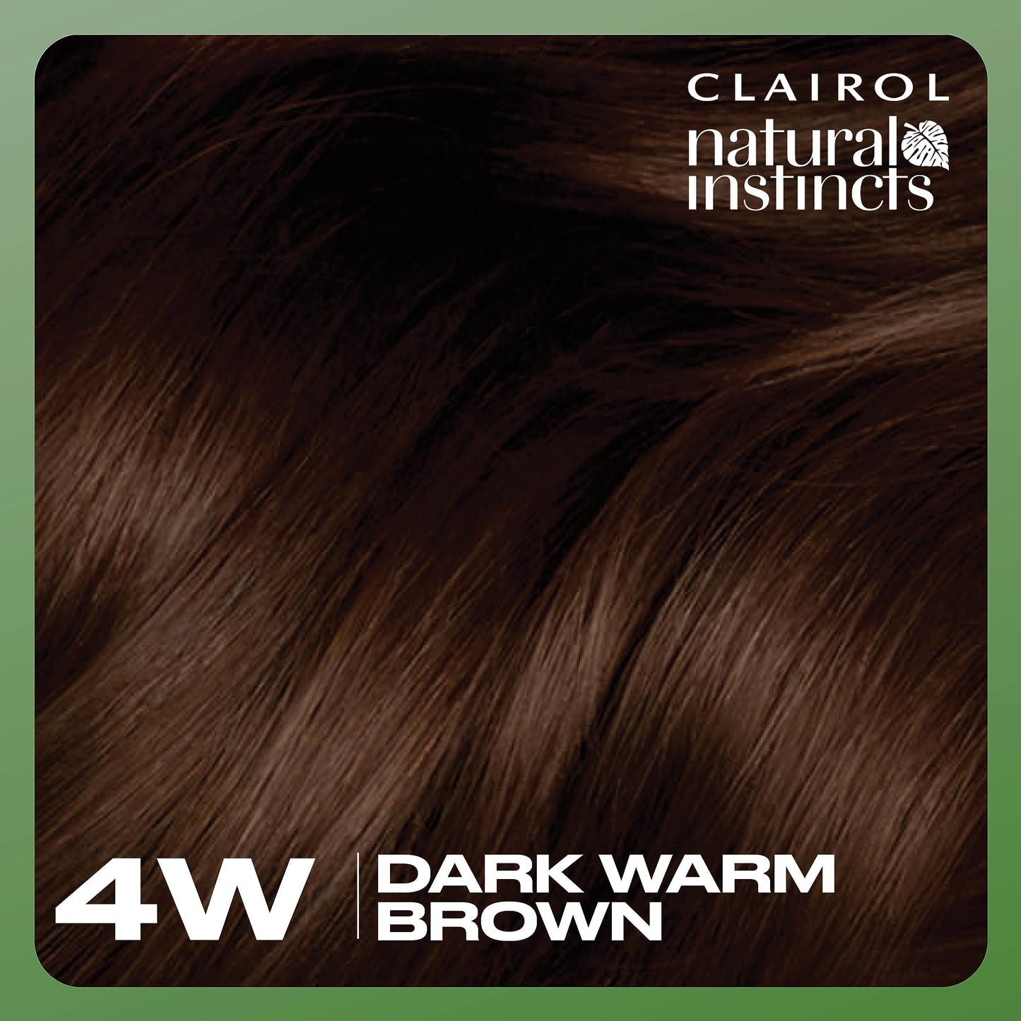 Clairol Natural Instincts Demi-Permanent Hair Dye, 4W Dark Warm Brown Hair Color, Pack of 1