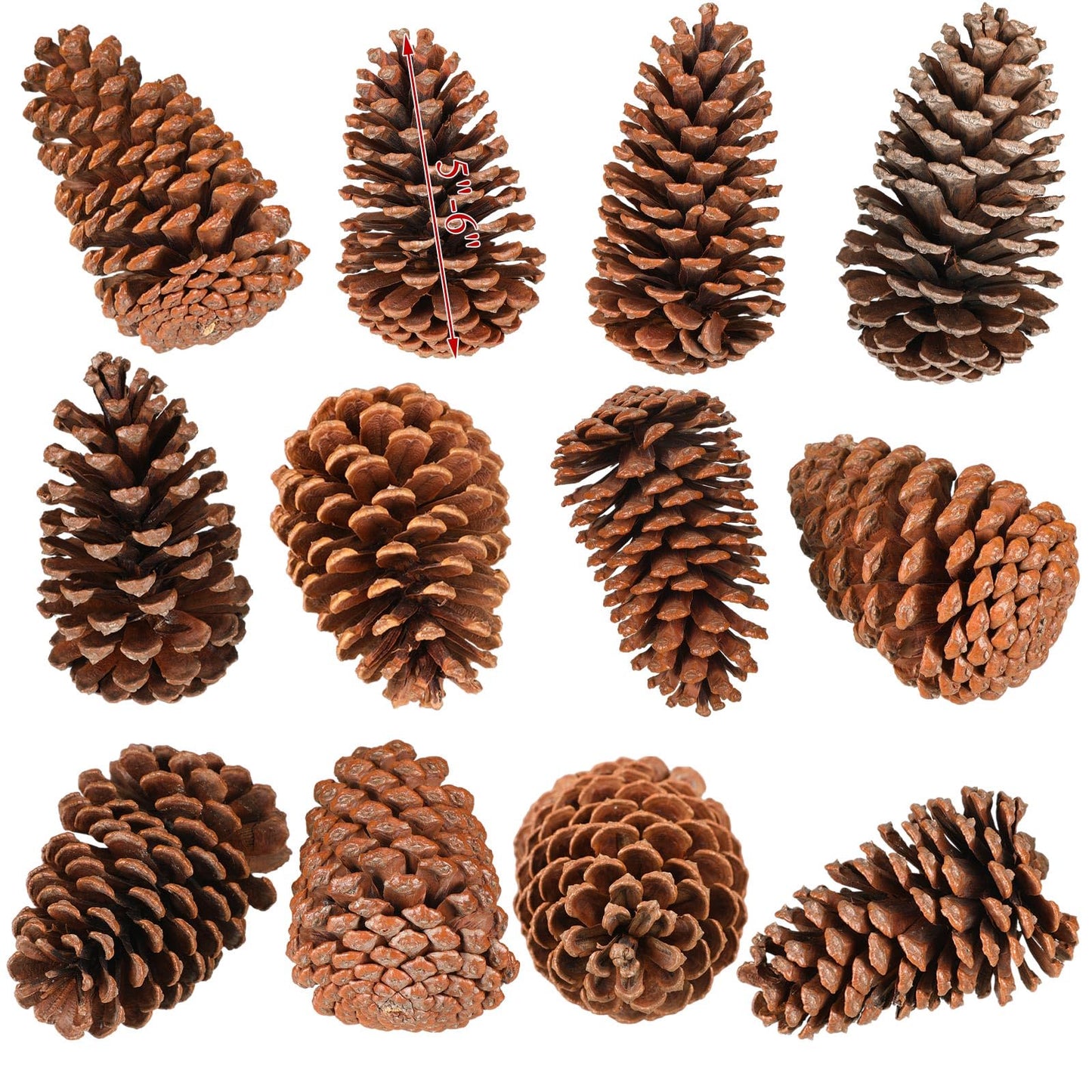 Huwena 12 Pcs PineCones Large Natural Unscented Pine Cones Bulk Rustic Christmas Tree Ornaments Decorative No Chemicals for Crafts DIY Wreath Home Wedding Decoration (5-6 Inches)