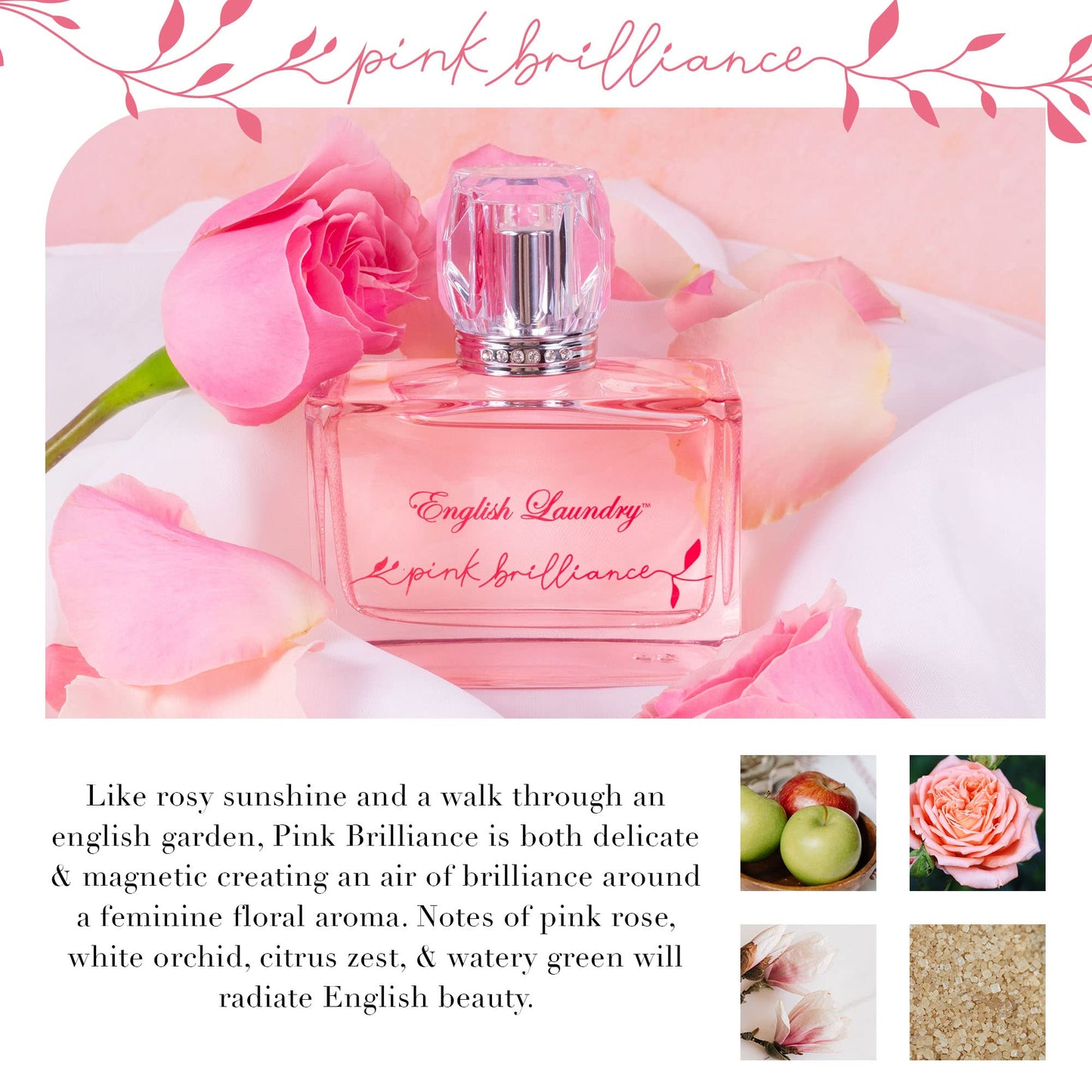 English Laundry Pink Brilliance EDP, 3.4 fl. oz.