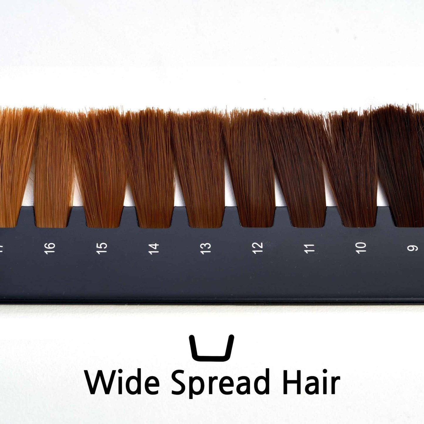 Hair Level Scale Chart Set Checking Brightness For Hair Salon and Hairdresser