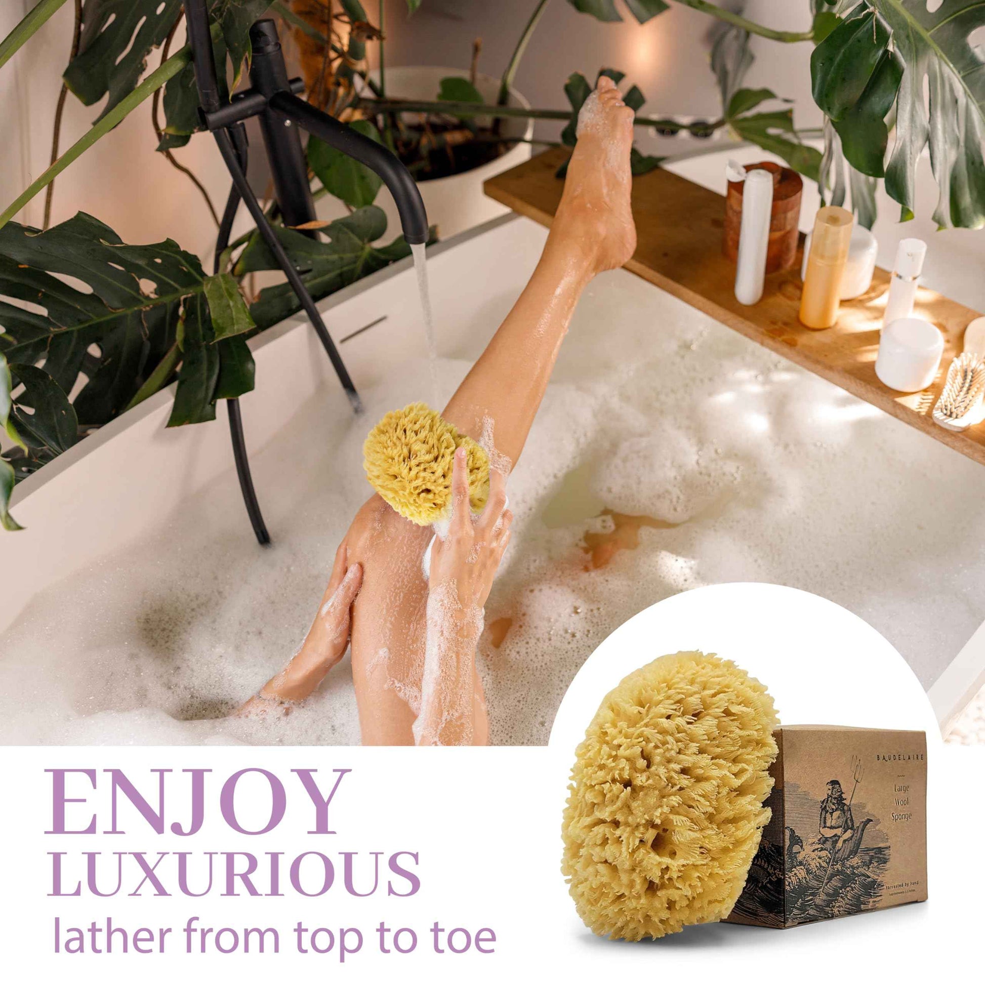 Sea Wool Sponge by Baudelaire 5.5" - Natural Sea Sponges for Bathing - Bath Sea Sponge for Shower - Natural Sea Sponge Loofah | Durable | Sustainable & Environment-Friendly Natural Sponges for Body