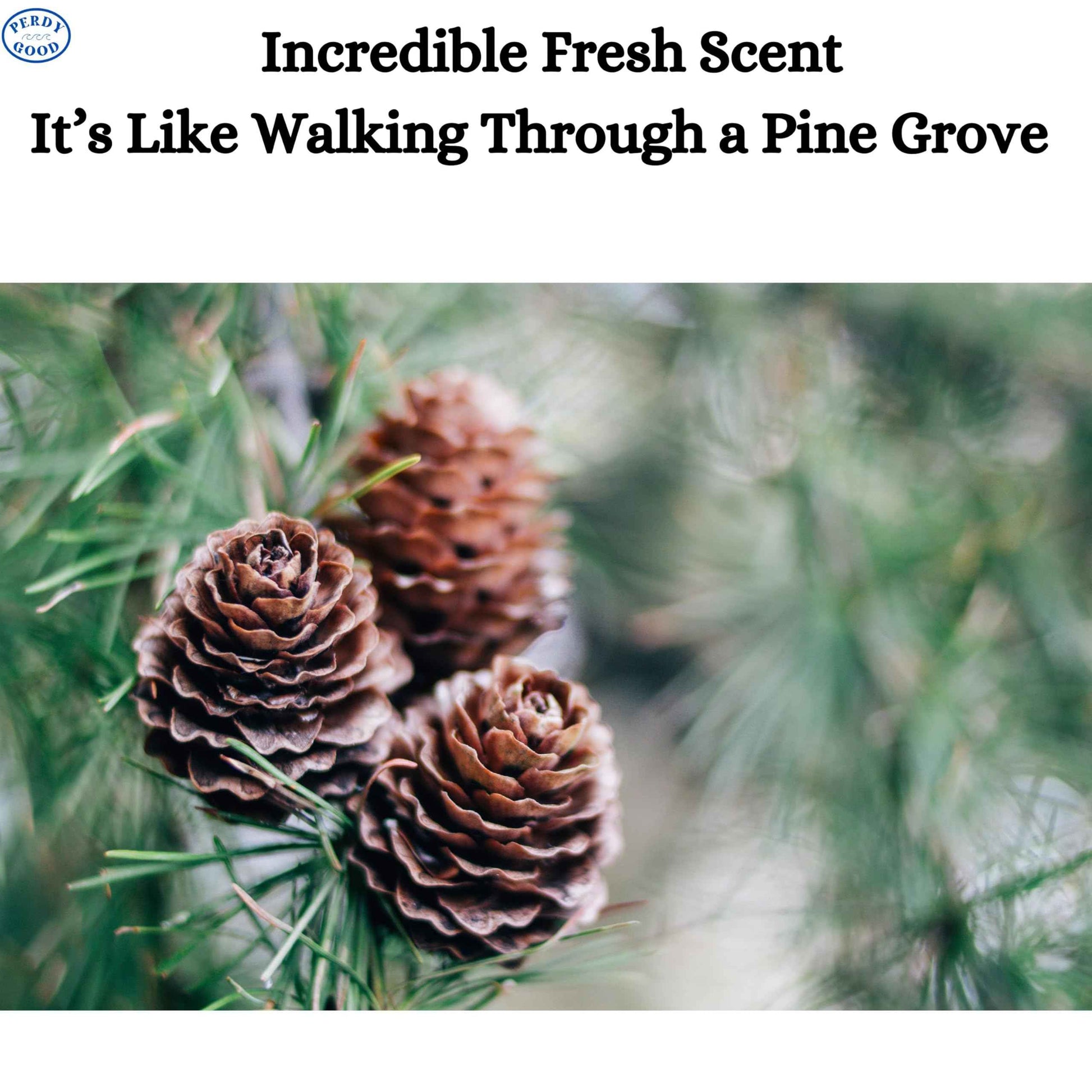 Perdy Good Lightfoot's Pine Soap for Men (3 Bars), 3 Plastic Free Exfoliating Sisal Saver Bags