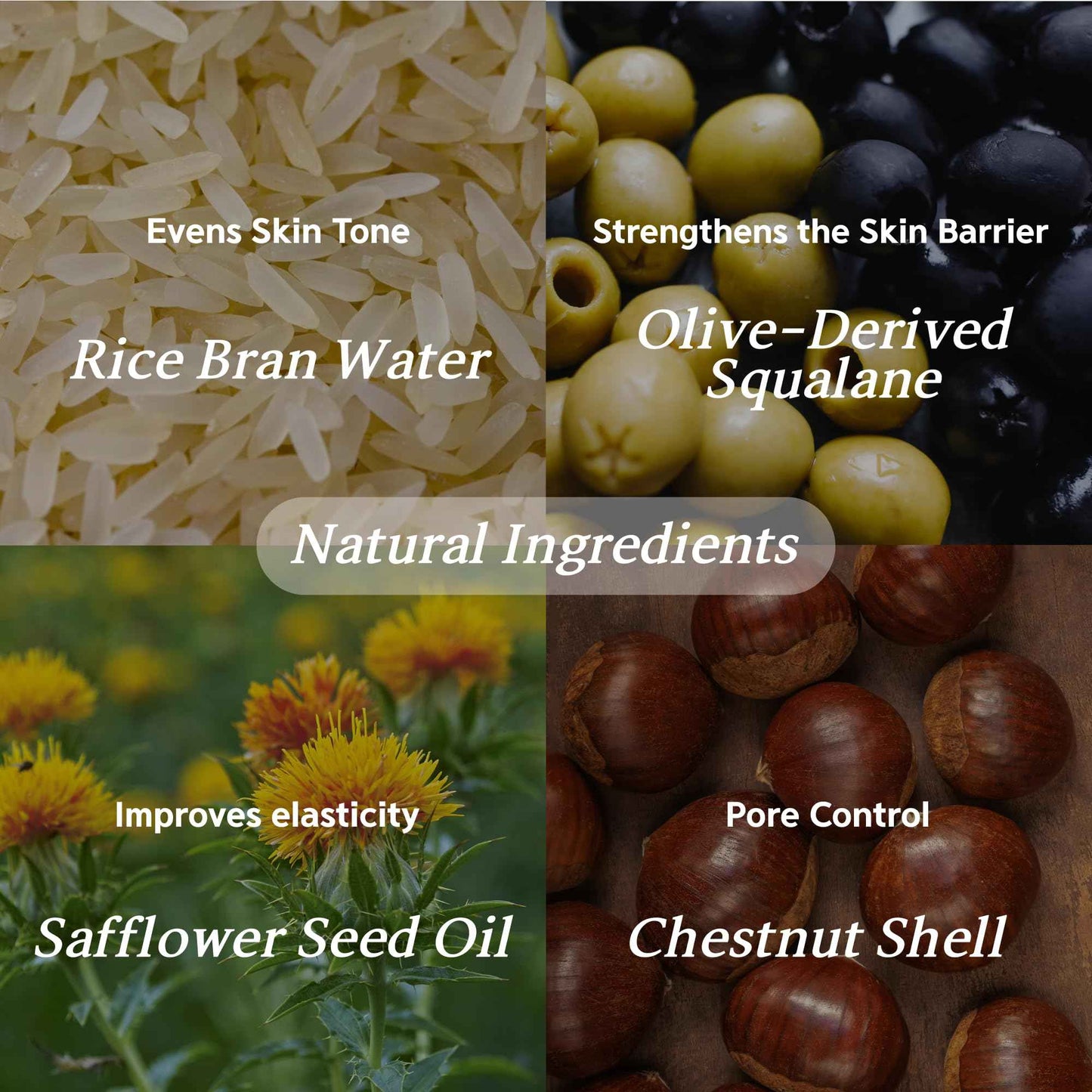 ABELTY Rice Squalane Glow Double Serum – Korean Hydrating Serum with Olive Squalane 5%, Rice Extract – Glass Skin, Anti-Pigmentation, Even Skin Tone, 50ml / 1.69 Fl.oz