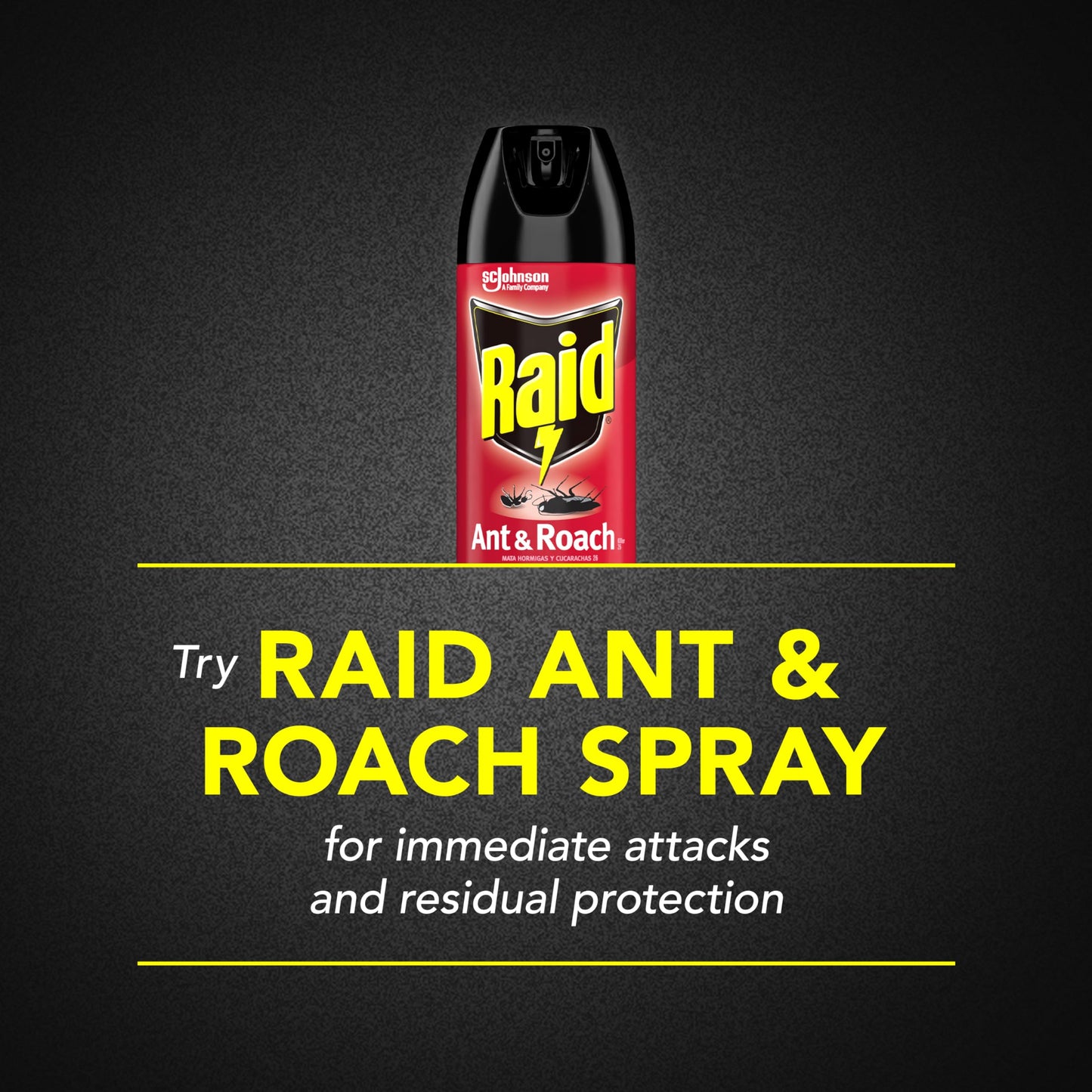 Raid Ant & Roach Killer 26, Fragrance Free Bug Killer for Home Use, Kills Bugs on Contact, 17.5 Oz, 2 Count