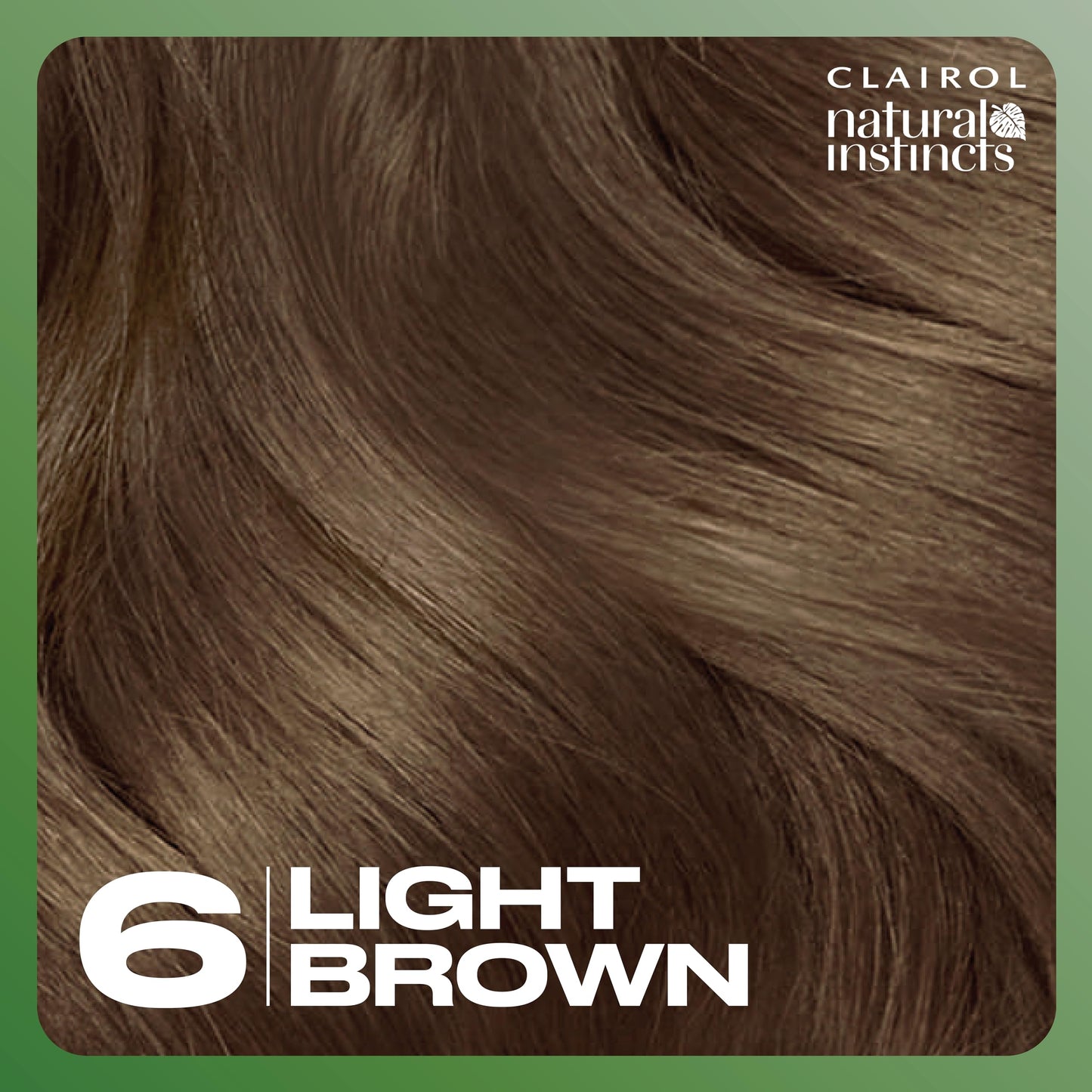 Clairol Natural Instincts Demi-Permanent Hair Dye, 6 Light Brown Hair Color, Pack of 1