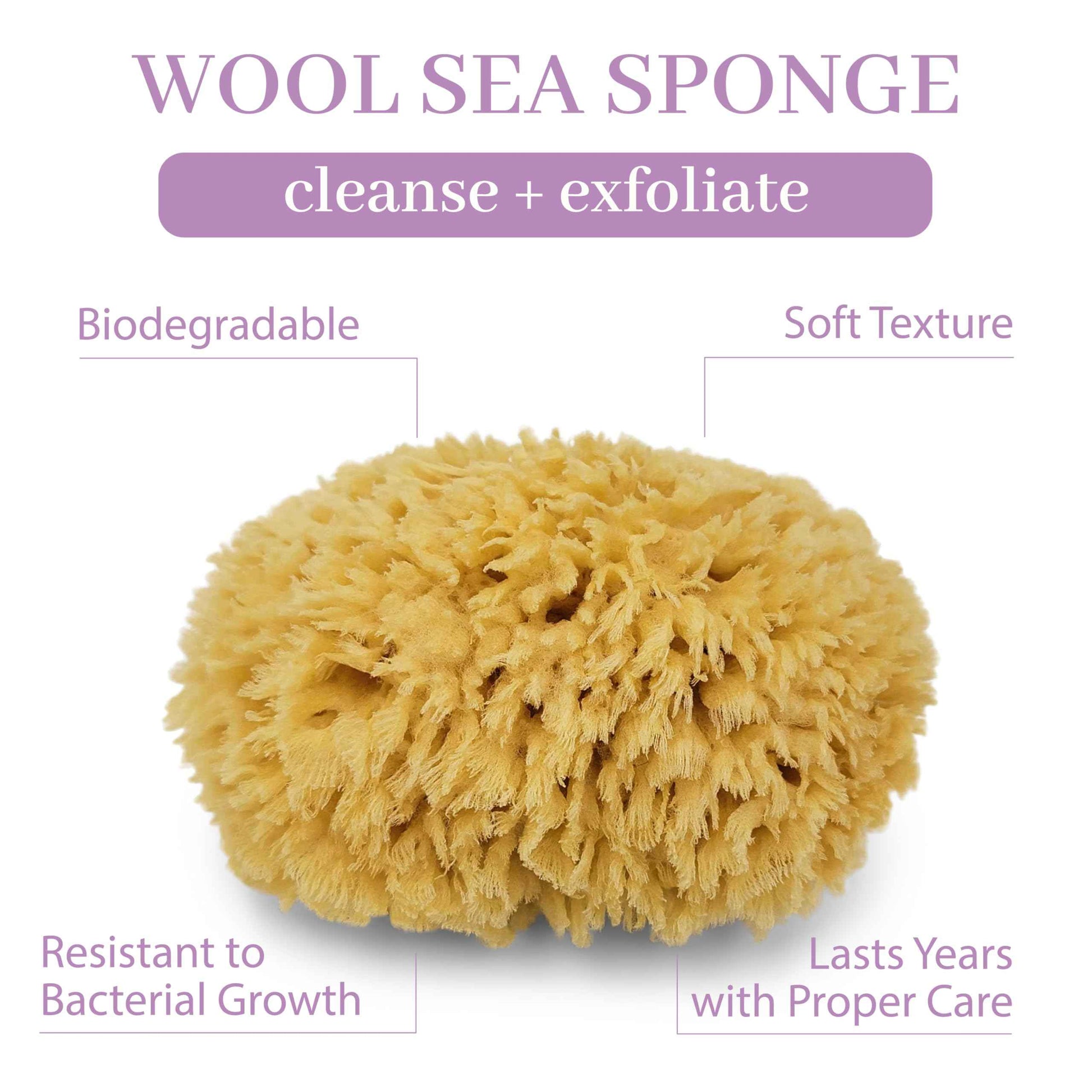 Sea Wool Sponge by Baudelaire 5.5" - Natural Sea Sponges for Bathing - Bath Sea Sponge for Shower - Natural Sea Sponge Loofah | Durable | Sustainable & Environment-Friendly Natural Sponges for Body
