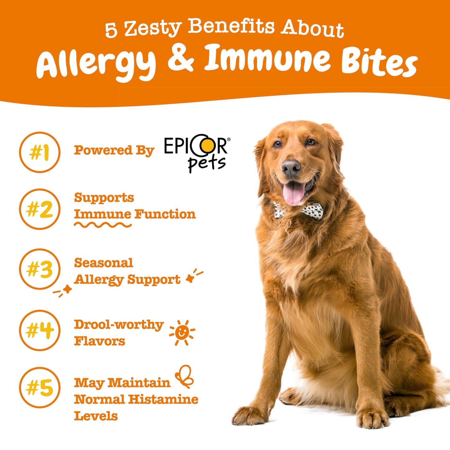 Zesty Paws Dog Allergy Relief - Anti Itch Supplement - Omega 3 Probiotics for Dogs - Salmon Oil Digestive Health - Soft Chews for Skin & Seasonal Allergies - with Epicor Pets - PB - 90 Count