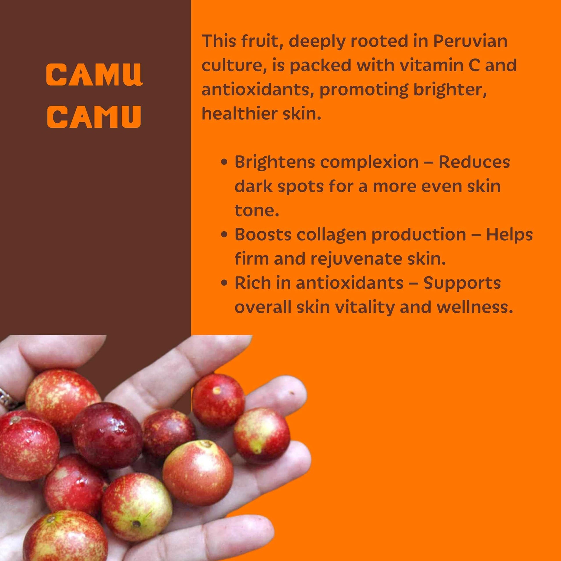 Setú Vitamin C Serum for Men | Brightening Serum with Camu Camu & Zarzaparrilla | Helps Provide Antioxidants for Younger-Looking Skin | Revitalizing & Fast-Absorbing | 1 fl. oz | 30 ml