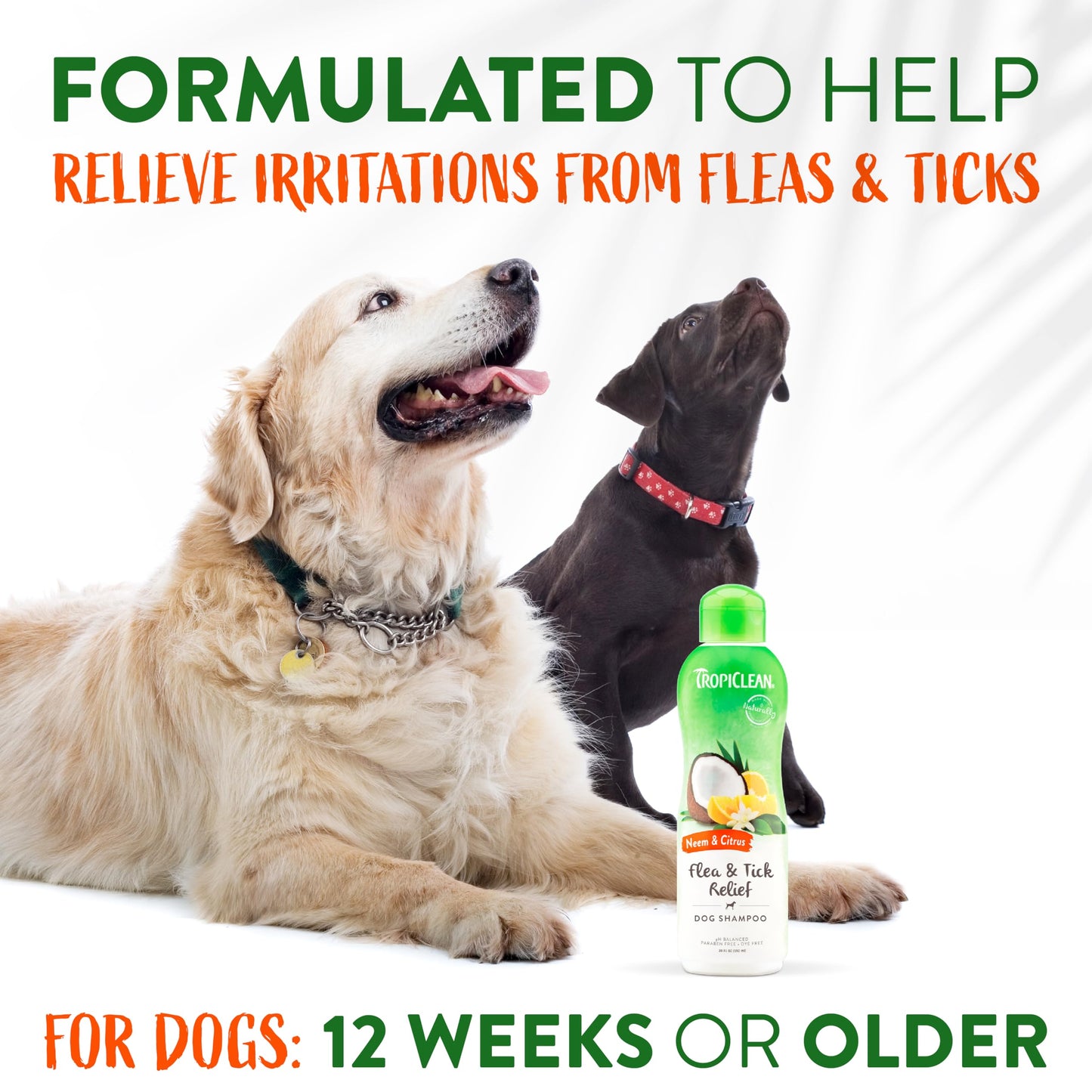 TropiClean Citrus & Neem Oil Flea Shampoo for Dogs | Tick and Flea Bite Relief for Dogs | Natural Dog Shampoo Derived from Natural Ingredients | Made in the USA | 20 oz.