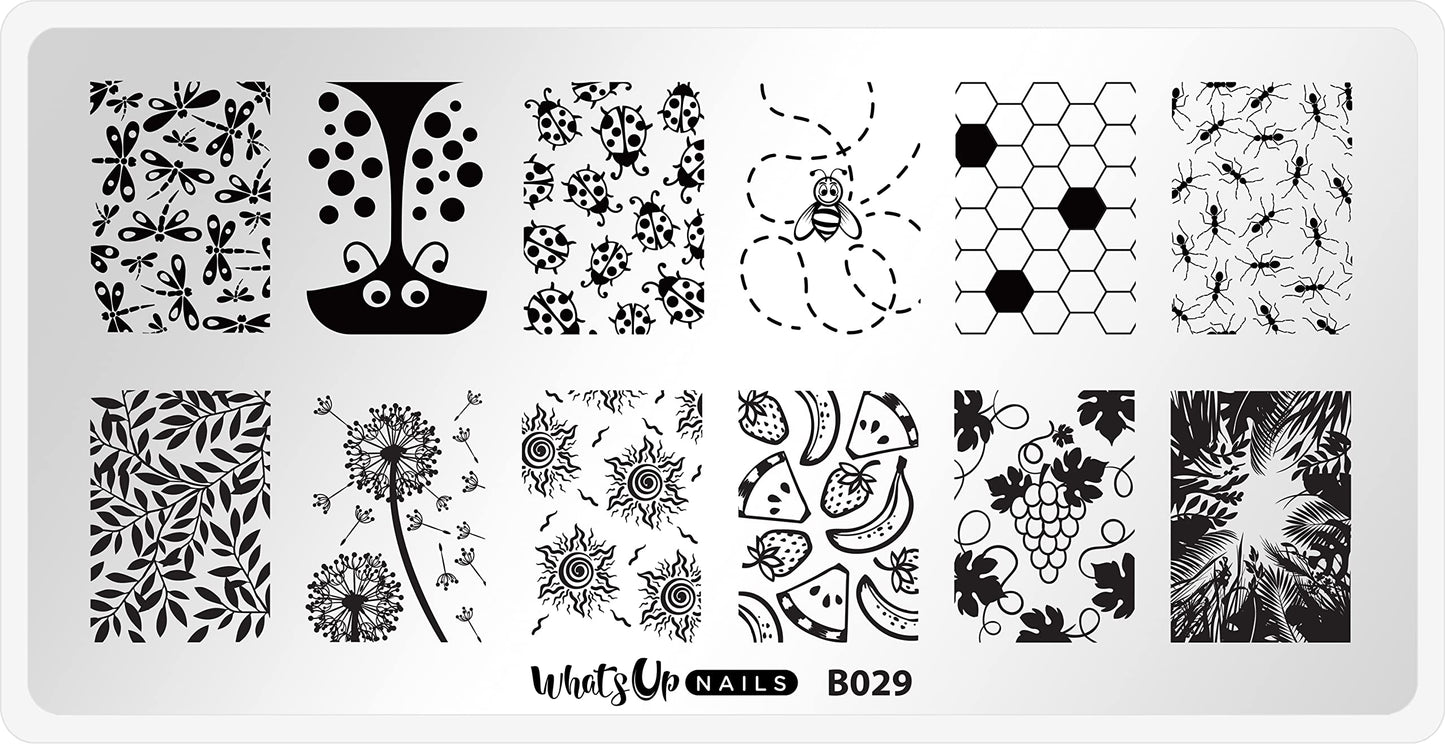 Whats Up Nails - B029 Picnic in the Park Stamping Plate for Nail Art Design