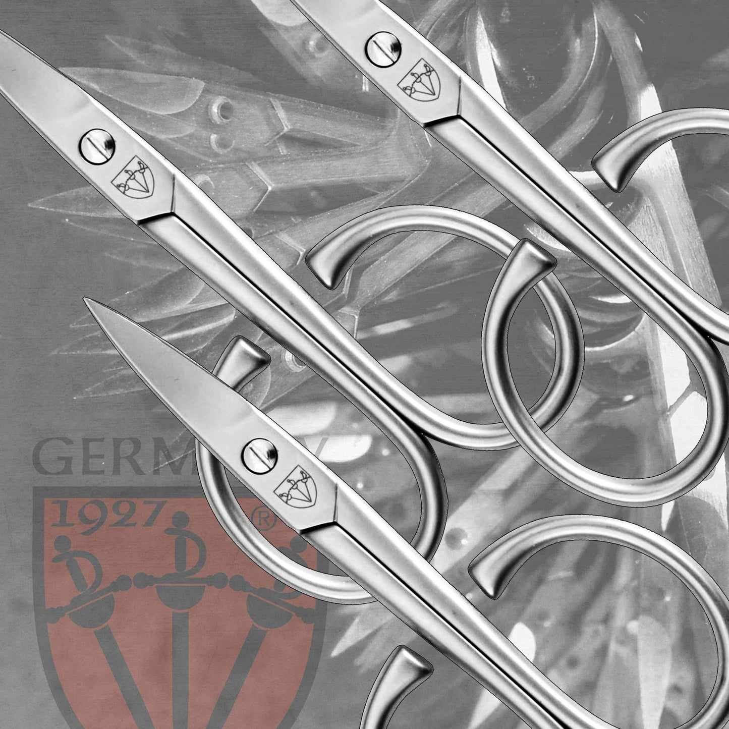 3 Swords Germany Solingen - brand quality STAINLESS STEEL INOX CURVED NAIL SCISSORS - STRONG SCISSORS FOR STRONG PEOPLE with case by 3 Swords Germany