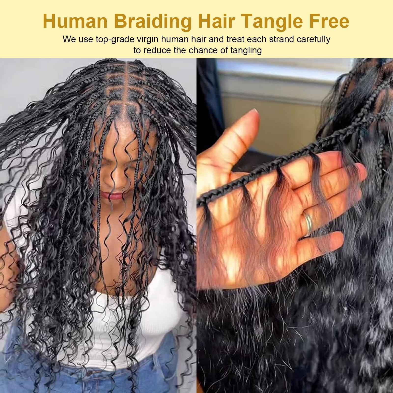 Curly Bulk Human Hair For Braiding Kinky Curly 100% Unprocessed Brazilian Virgin Human Hair Extensions Micro Braiding Human Hair 100g with 2 Bundles No Weft 20 inch