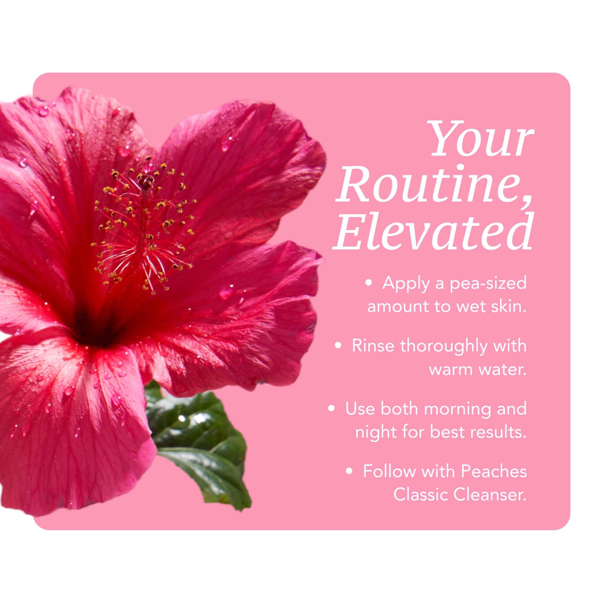 Vegan Face Exfoliator Scrub – Gentle Daily Facial Scrub with Blueberry, Coffee Bean, and Vitamin C – Face Exfoliant for Smooth, Radiant Skin – Flawless Exfoliator (8 oz)