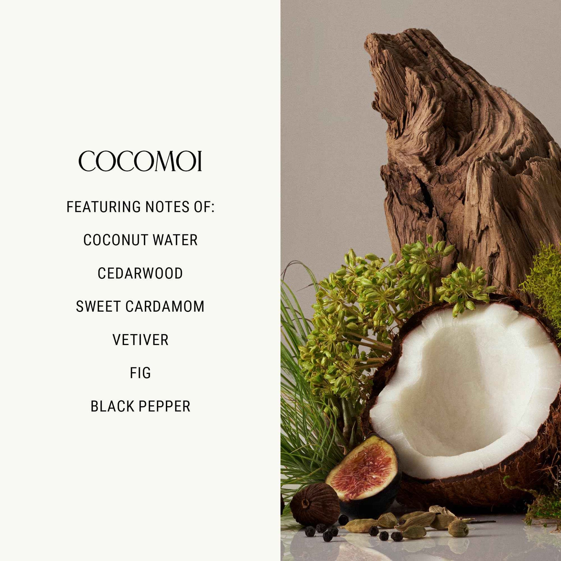 Homecourt Body Wash, Bath & Shower Gel Cleanser for Hydrating Skin, Made with Warm Coconut, Cedarwood & Sweet Cardamom Scent, Cocomoi, 10 fl oz