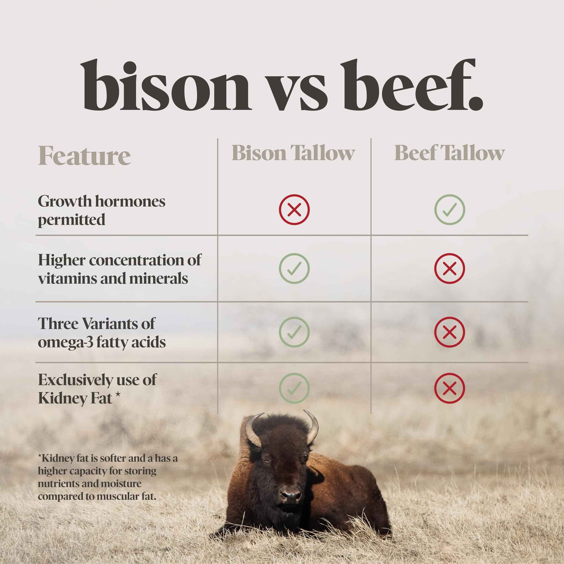 Big Crazy Buffalo BUFF BAR Pure Whipped Bison Tallow Body Balm, Lemon Drop - Jojoba, All Purpose, Hydrating, Naturally Derived, Mild Scent, Replaces Lotion, For Dry, Sensitive Skin, Essential Oil