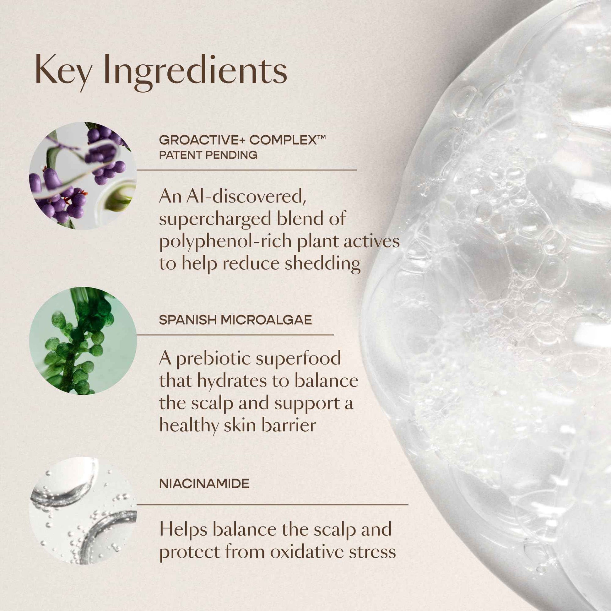 VEGAMOUR GRO+ Advanced Balancing Shampoo | Lightly Exfoliates, Cleanses and Removes Buildup Without Stripping | For Severe Signs of Thinning | Color Safe, Vegan, Cruelty-Free (8 Fl Oz)