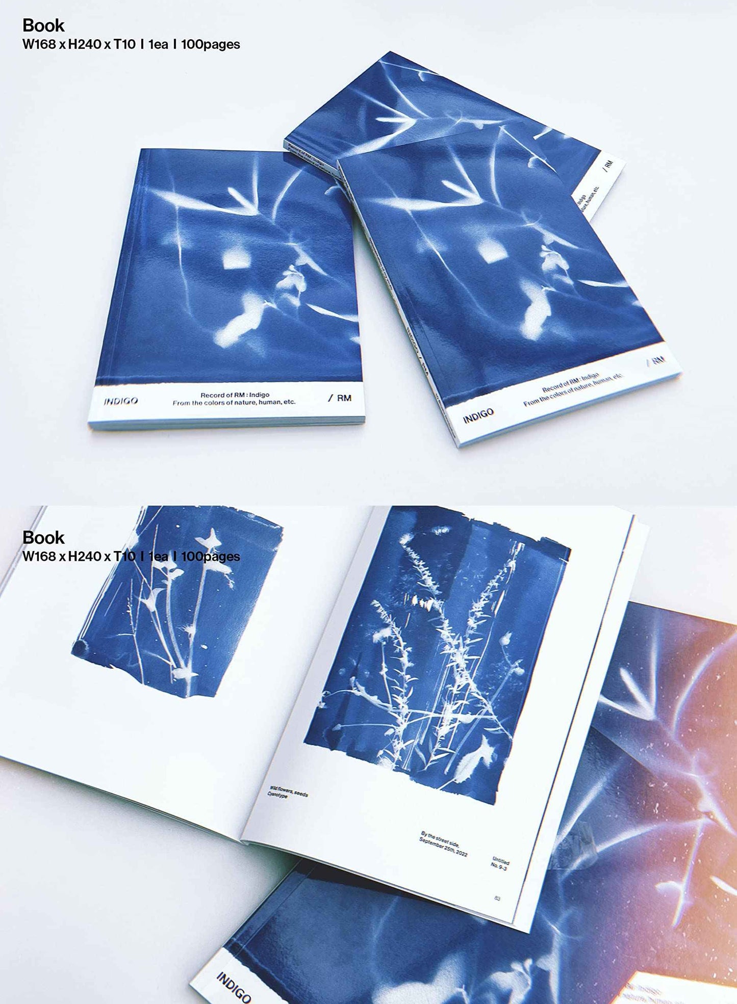 Indigo (Book Edition)-RM (BTS)