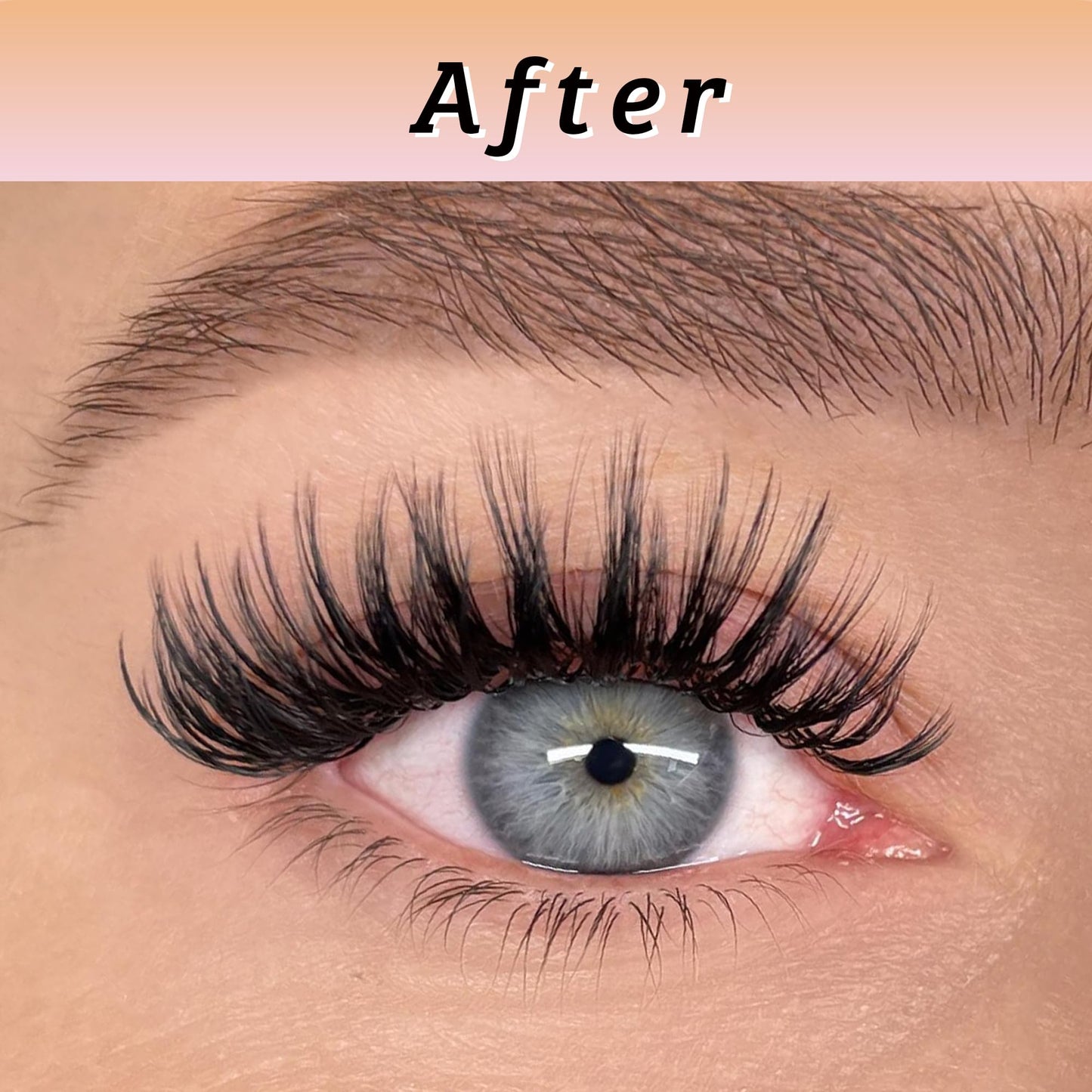 LA MAESII Lash Clusters, Volume Cluster Lashes DIY Eyelash Extensions, Wispy Individual Lashes False Eyelashes Clusters, Soft & Thin Band Reusable 10-12-14mm (Volume-C)