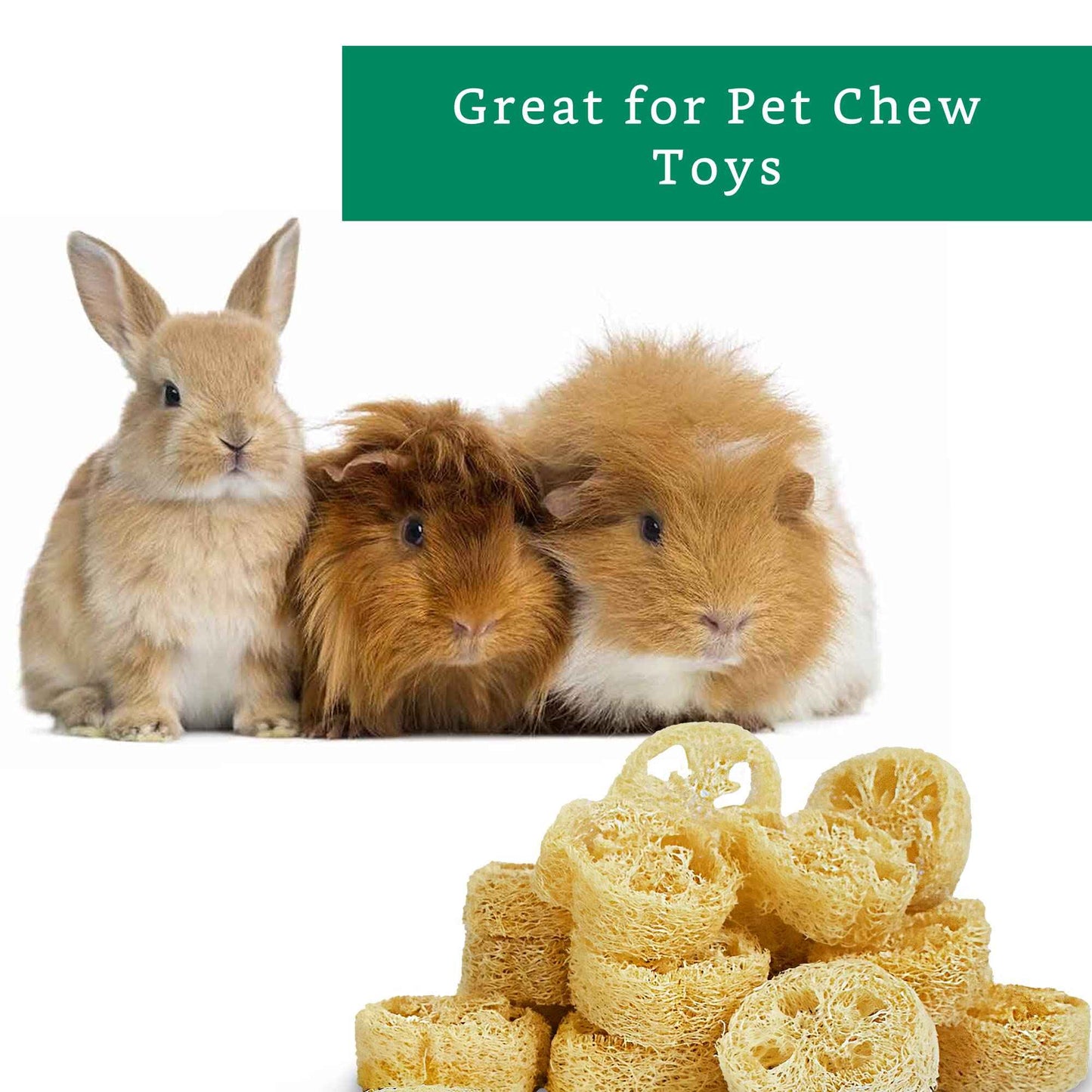 Natural Loofah Slices for Soap Making (20 Pack) - Organic Loufa Cuts - Bulk Luffa - Soap Making Supplies