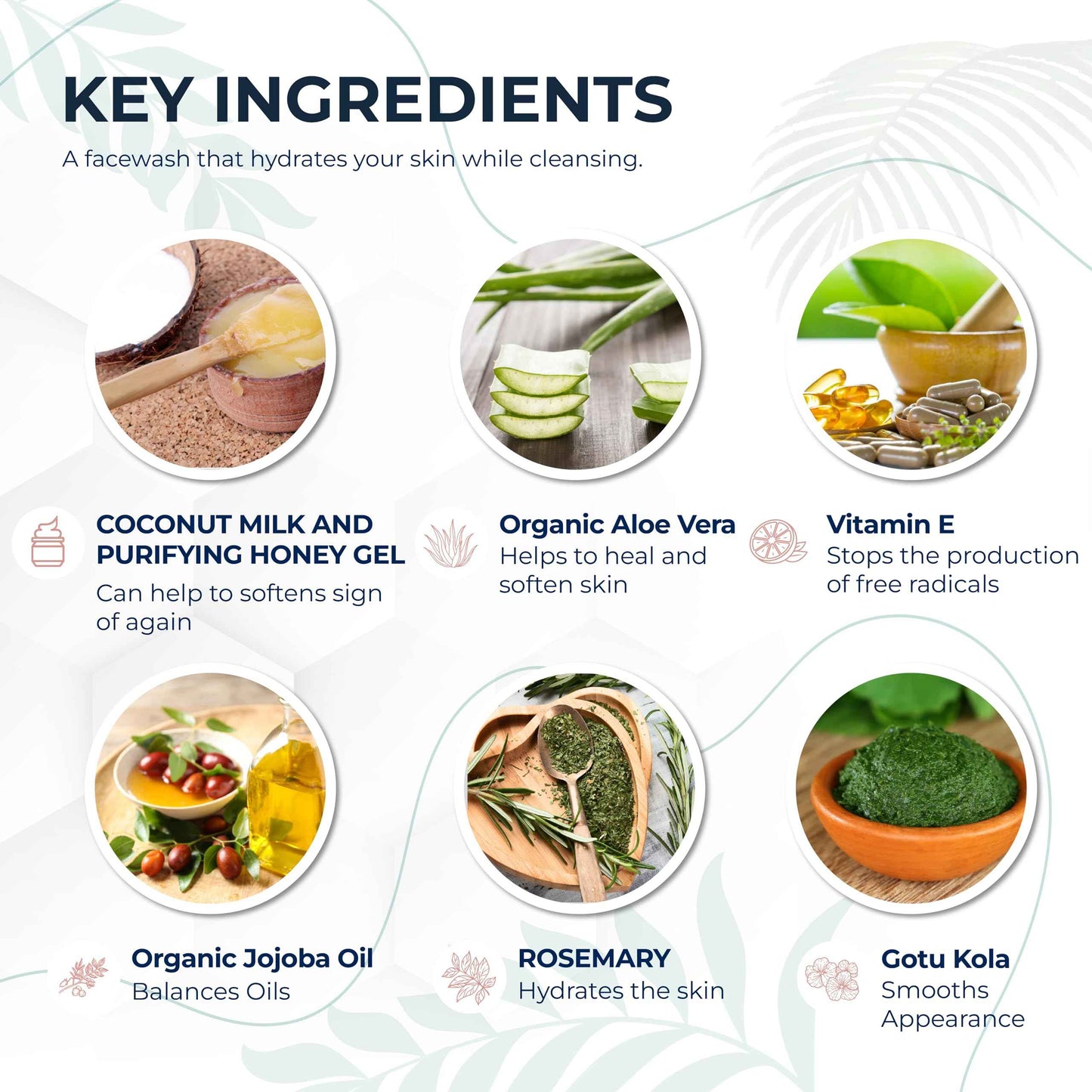 Foxbrim Naturals Radiant Skin Duo: Coconut Milk & Honey Facial Cleanser and Orange Blossom Water Face Toner