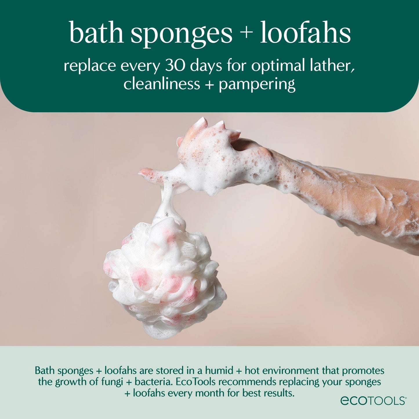 EcoTools Lathering EcoPouf 6 Pack, Loofah Infused with Mini Sponges, Provides Rich Lather, Recycled Netting, Gentle Exfoliation in Bath Or Shower, Pouf Removes Dead Skin, Cruelty-Free