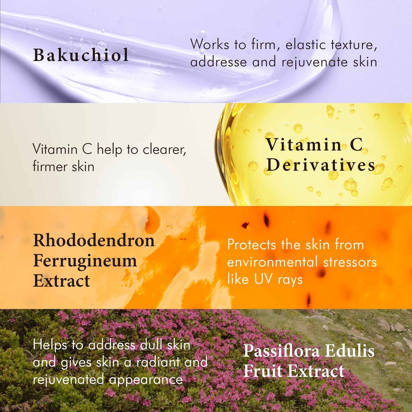 TAKE MY HAND TMH Hand Cream | Made in Japan, 99% Natural Ingredients, Essential Oil Scented - Professional Hand Model-Owned Brand -1.4 oz