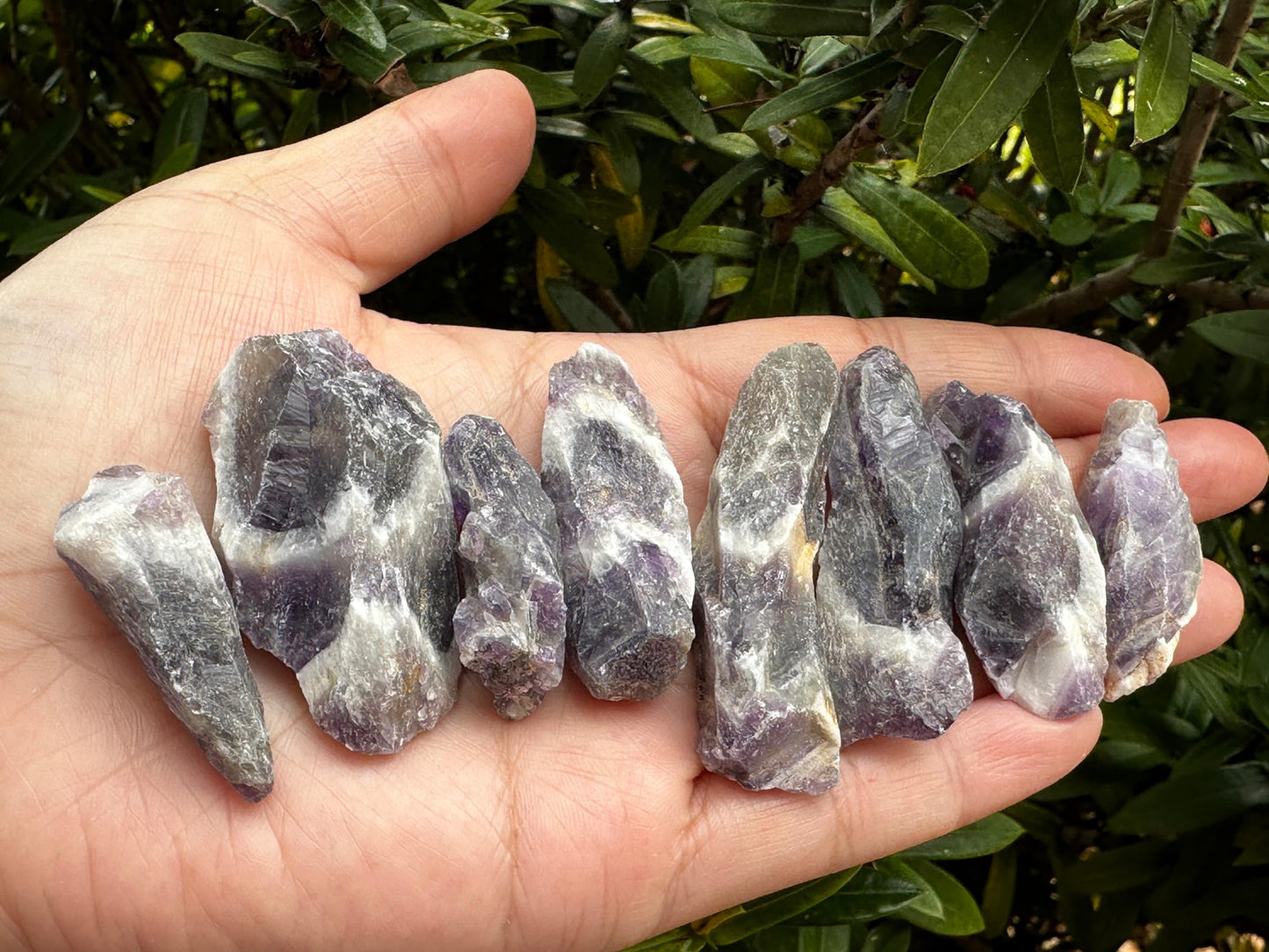 GAF TREASURES Wholesale Raw Chevron Amethyst Crystals, Natural Chevron Amethyst Stone, Natural Rough Chevron Amethyst Crystals, Chevron Amethyst Healing Crystals (Chevron Amethyst, 0.5 Pound)