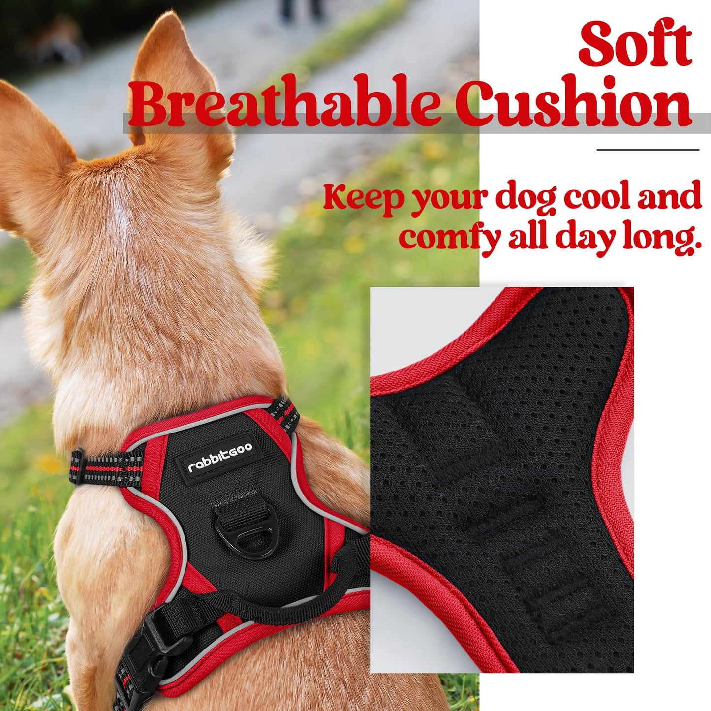 rabbitgoo Dog Harness, No-Pull Pet Harness with 2 Leash Clips, Adjustable Soft Padded Dog Vest, Reflective No-Choke Pet Oxford Vest with Easy Control Handle for Large Dogs, Black & Red, X-Small