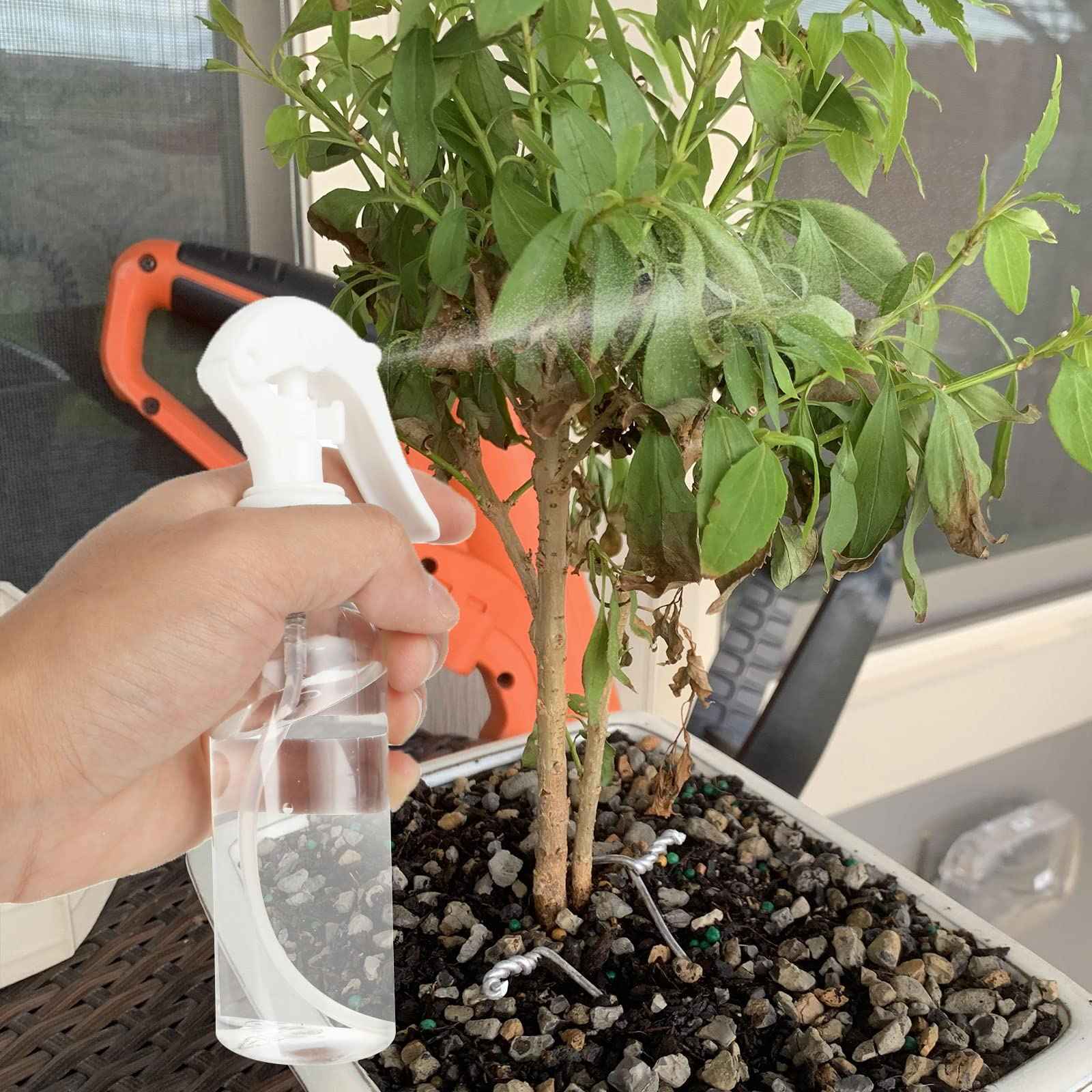 LISHINE 24 Pack Small Spray Bottles 3.5 oz Hair Spray Bottle 100ml Plastic Fine Mist Spray Bottles, Travel Size Spray Bottle Mini Continuous Spray Bottle for Hair, Water, Plant, Essential Oils