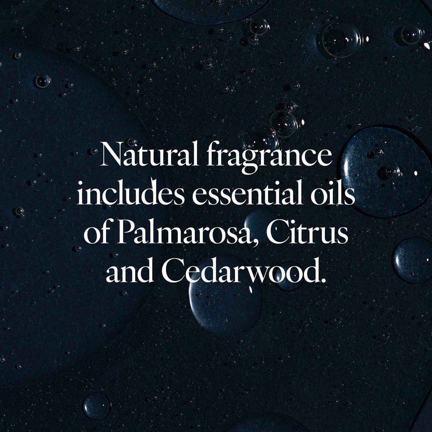 LATHER Desert Aloe & Agave Body Wash | Hydrating & Refreshing Skin Care | Paraben & Sulfate Free | Gentle Cleansing with Invigorating Scent | Suitable for All Skin Types | 12 oz