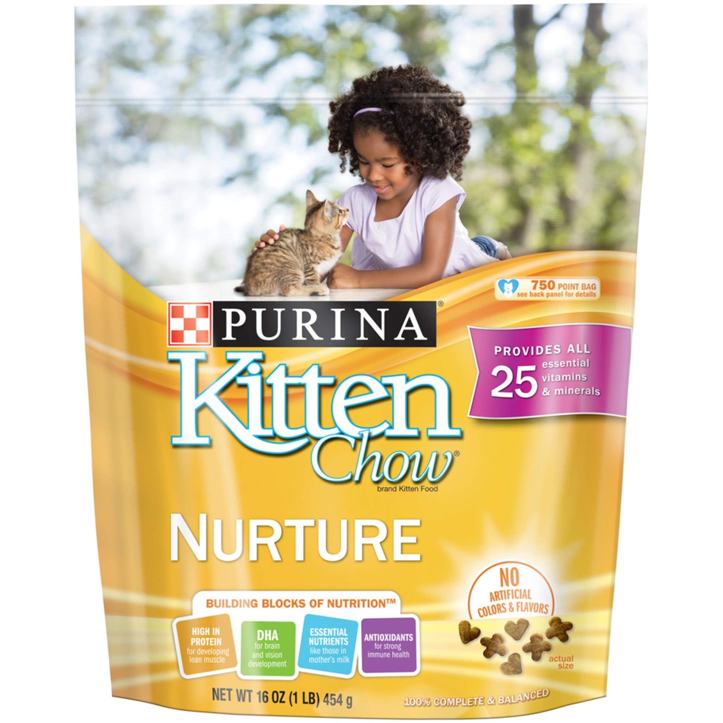 Purina Kitten Chow Dry Kitten Food, Nurture Muscle + Brain Development - (6) 16 oz. Pouches