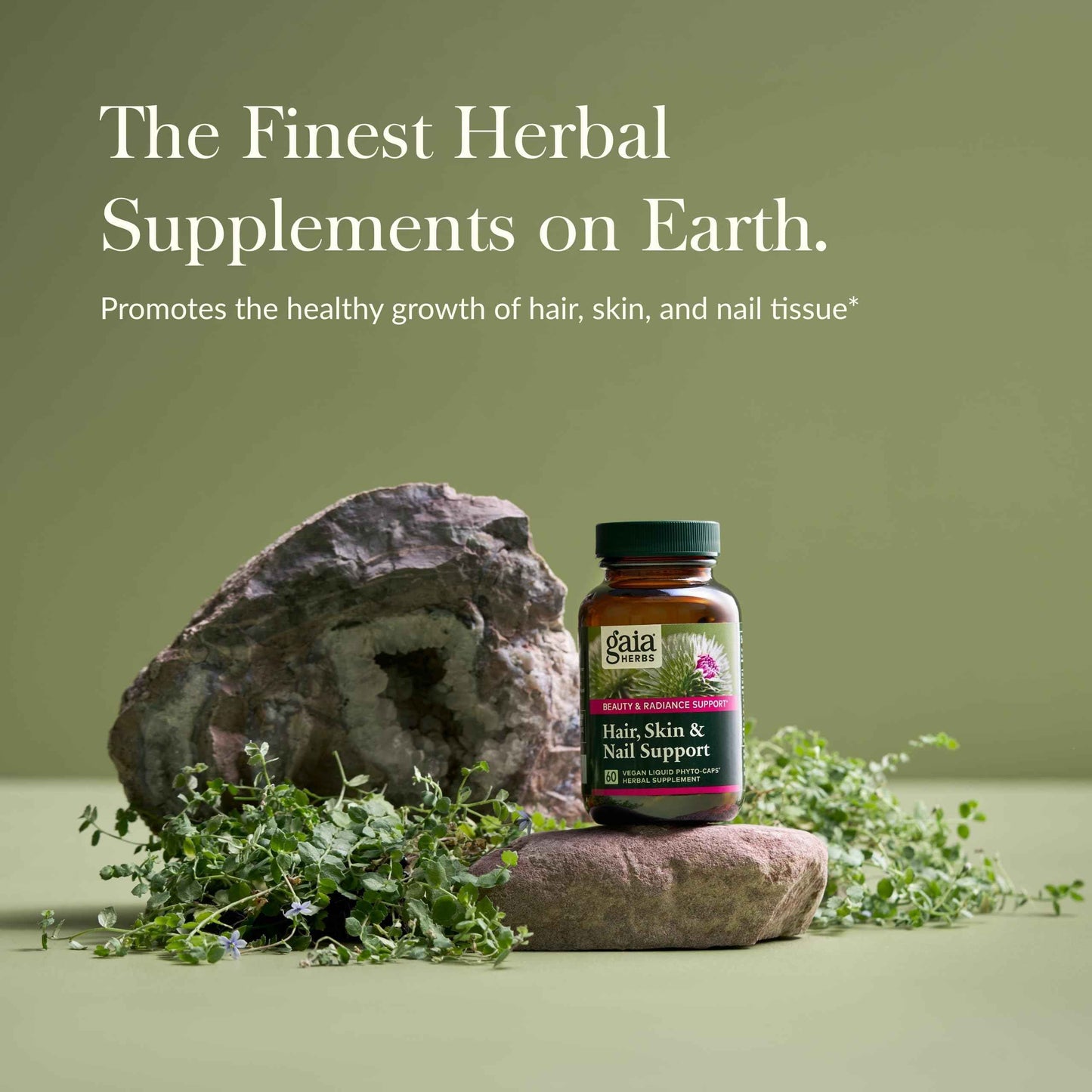 Gaia Herbs Hair, Skin & Nail Support - Helps Promote Healthy Skin, Hair Growth & Nail Growth - with Horsetail, Alfalfa, Burdock, Gotu Kola & Nettle - 60 Vegan Liquid Phyto-Capsules (15-Day Supply)