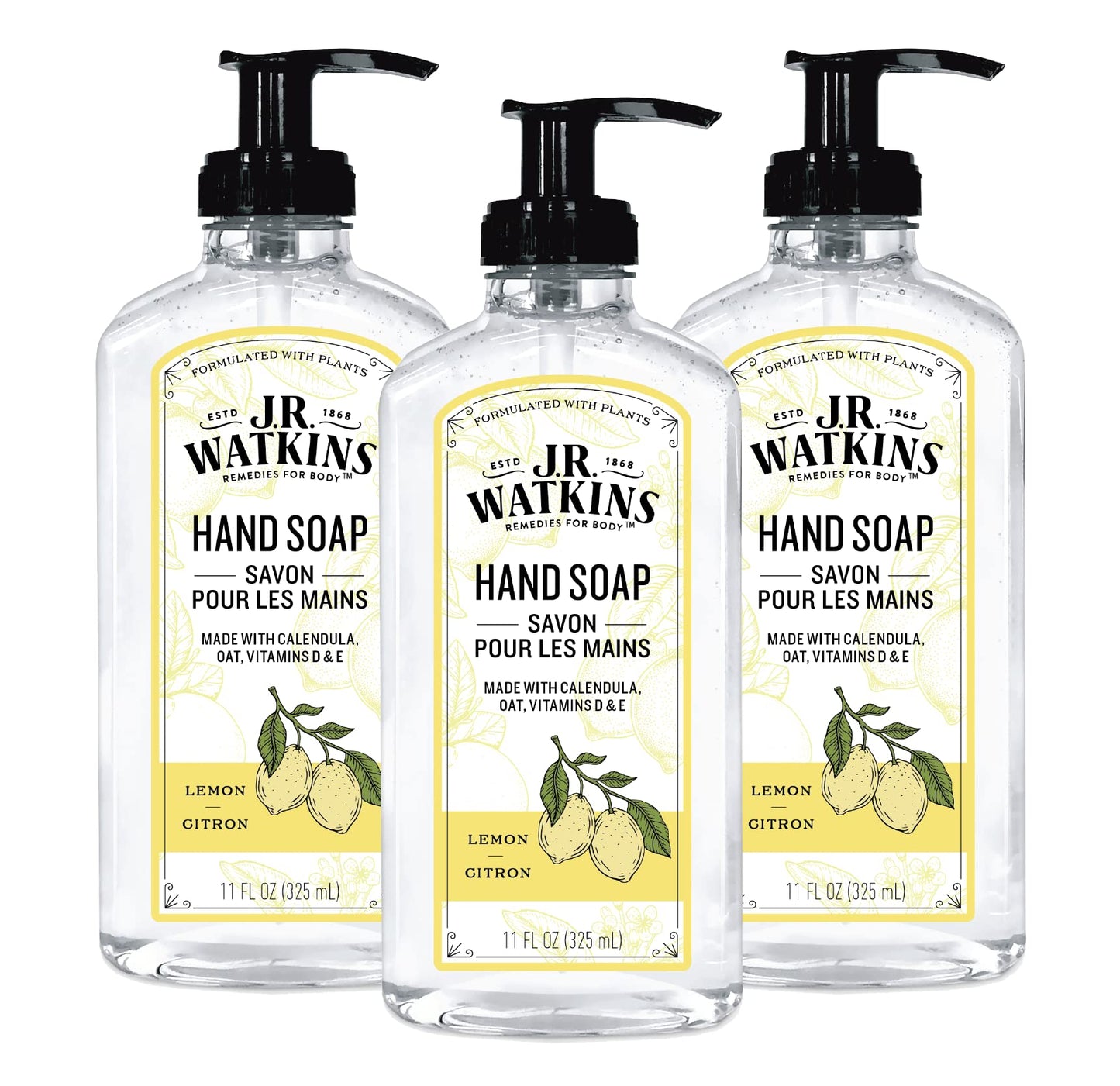 J.R. Watkins Foaming Hand Soap with Pump Dispenser, Moisturizing Foam Hand Wash & Liquid Hand Soap With Dispenser, Moisturizing Hand Soap, Alcohol-Free Hand Wash, Cruelty-Free