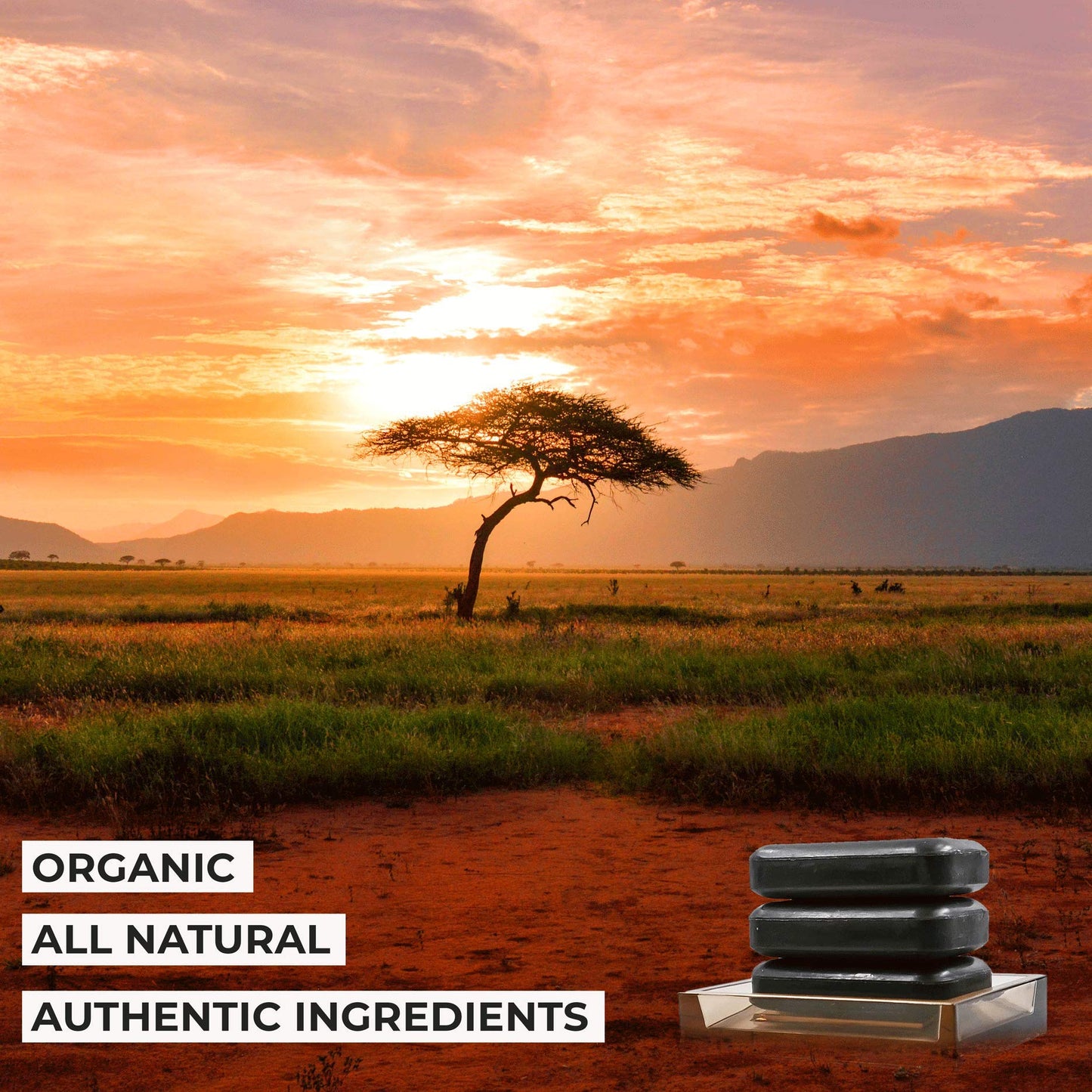 O NATURALS Organic African Black Soap Bar 3PC - Rich in African Shea Butter - Helps Acne Prone Skin - Natural Body Wash & Face Wash - Black African Soap - Natural Black Soap Bar for Women & Men