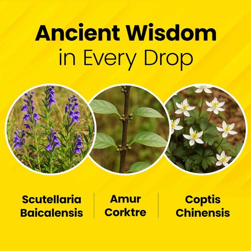 Baegayul ORIGIN Face Moisturizer Cream - Korean Daily Moisturizer with Propolis & Coix Seed Extract complex - Deep skin Hydration & Soothing for Dry, Sensitive Skin [ 2.71 fl oz ]