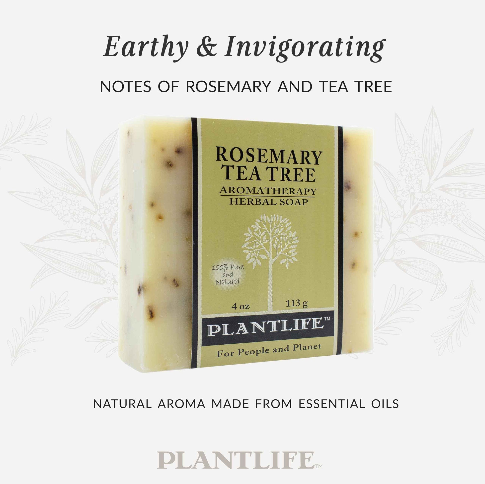 Plantlife Rosemary Tea Tree 6-Pack Bar Soap - Moisturizing and Soothing Soap for Your Skin - Hand Crafted Using Plant-Based Ingredients - Made in California 4oz Bar