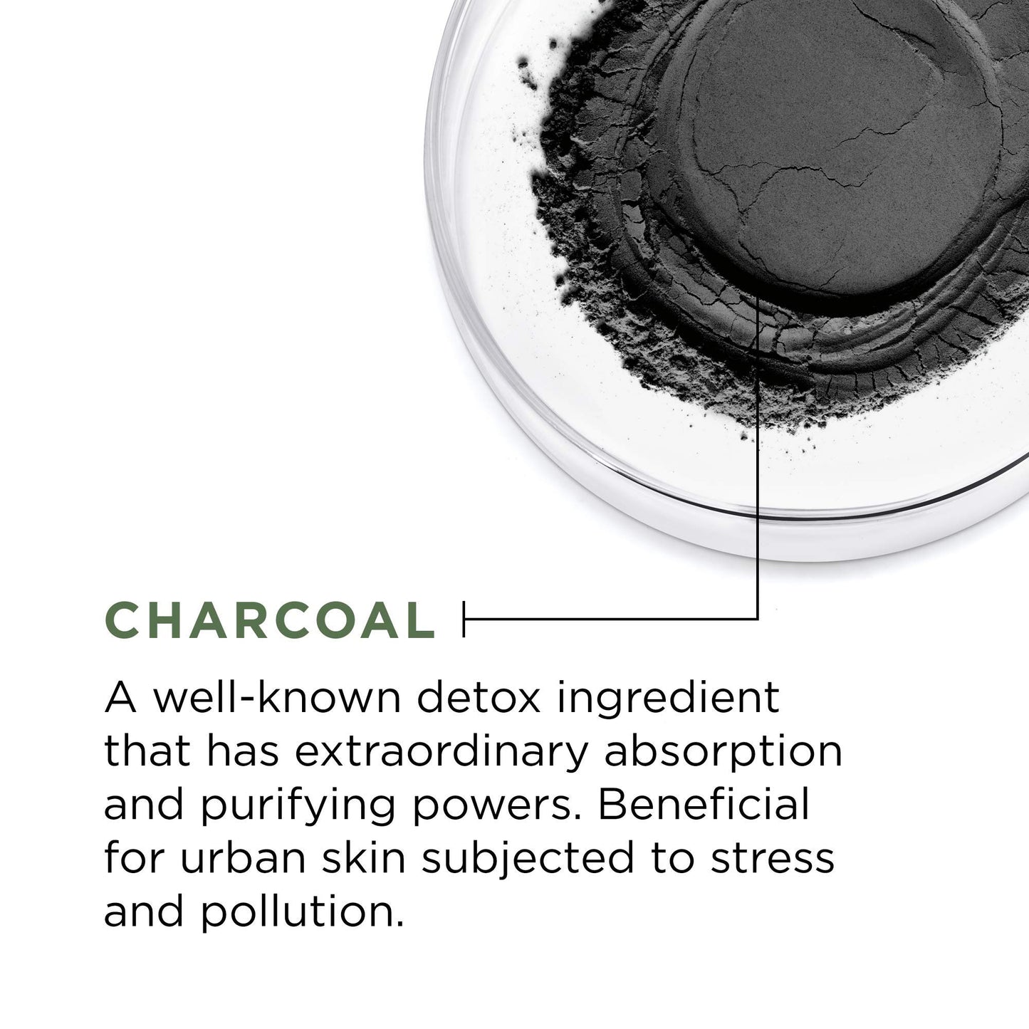 L'Oreal Paris Skincare Pure Clay Face Mask with Charcoal for Dull Skin to Detox & Brighten Skin, Clay Mask, at home face mask, 1.7 oz.