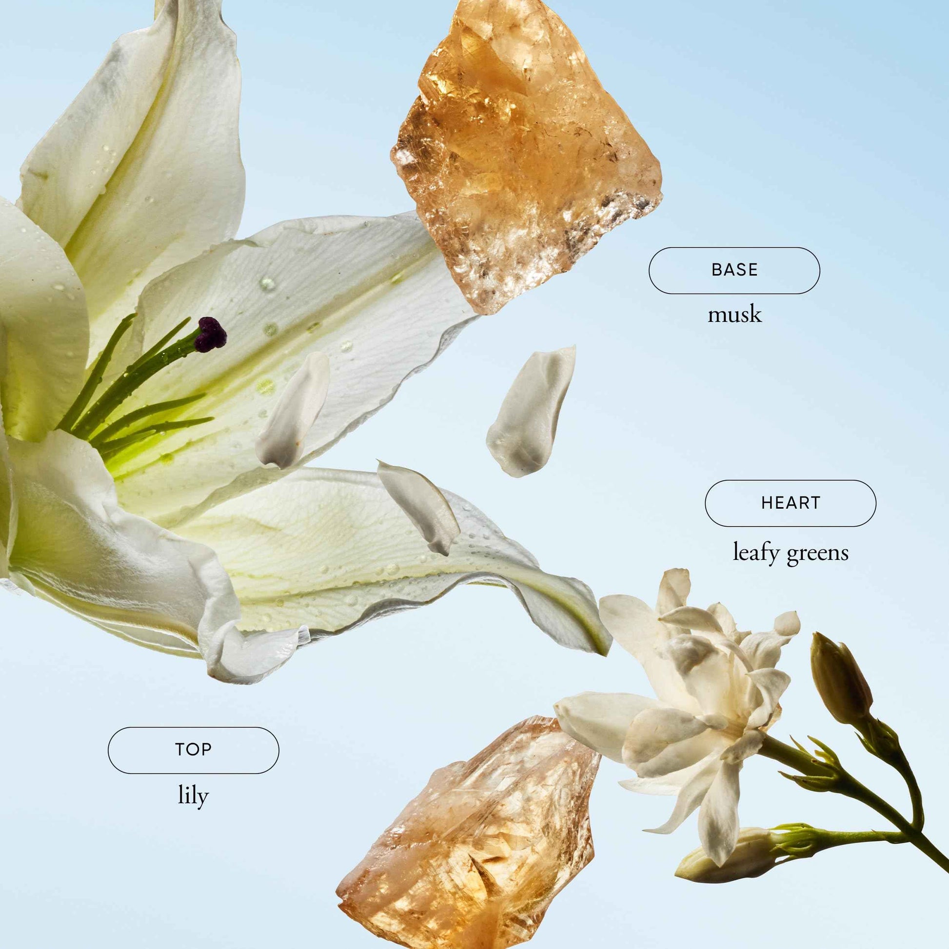 philosophy pure grace body emulsion 8 fl oz