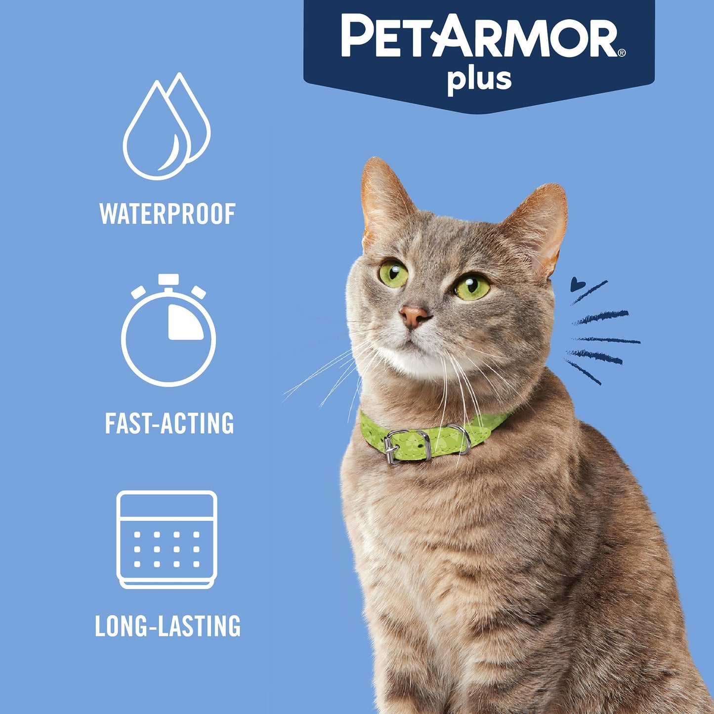 PetArmor Plus Flea and Tick Prevention for Cats, Cat Flea and Tick Treatment, 12 Doses, Waterproof Topical, Fast Acting, Cats Over 1.5 lbs