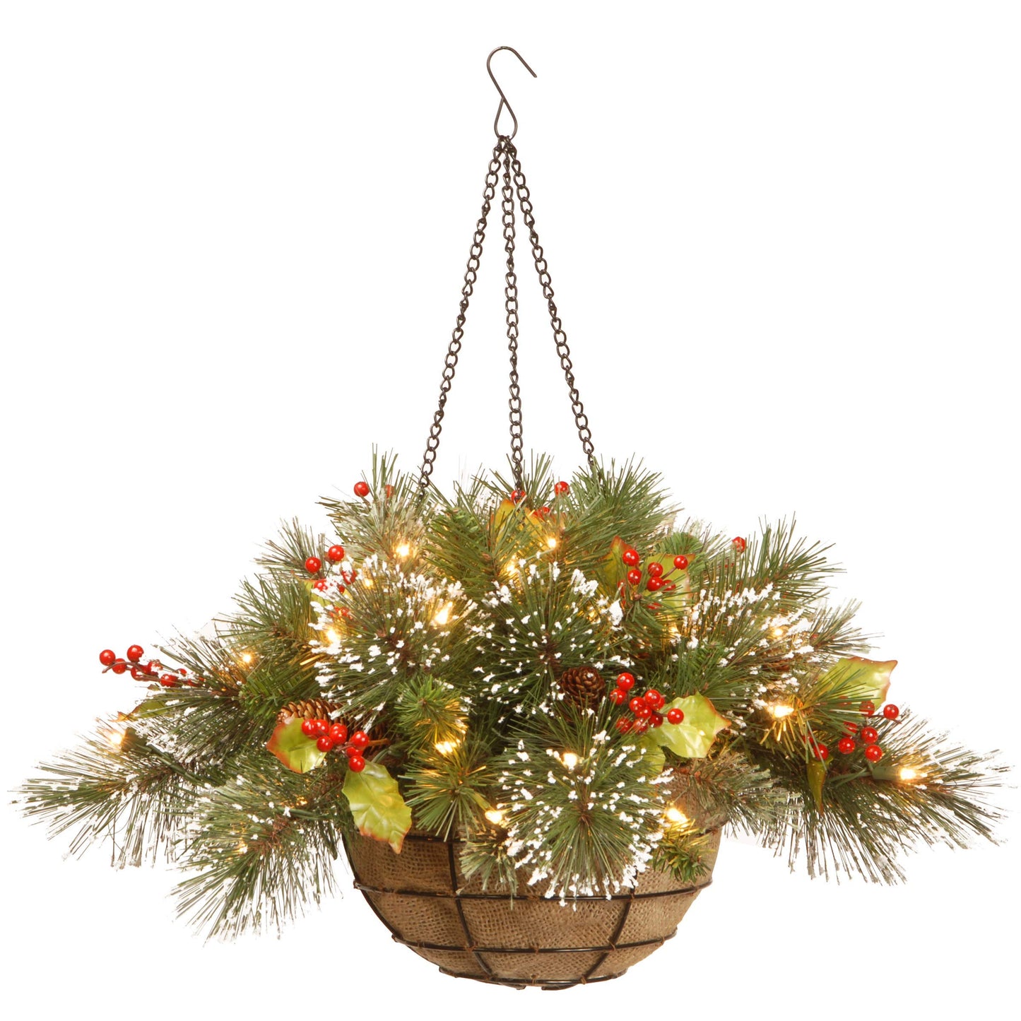 National Tree Company Pre-Lit Artificial Christmas Hanging Basket, Wintry Pine, Decorated With Frosted Pine Cones, Berry Clusters, White Lights, Christmas Collection, 20 Inches