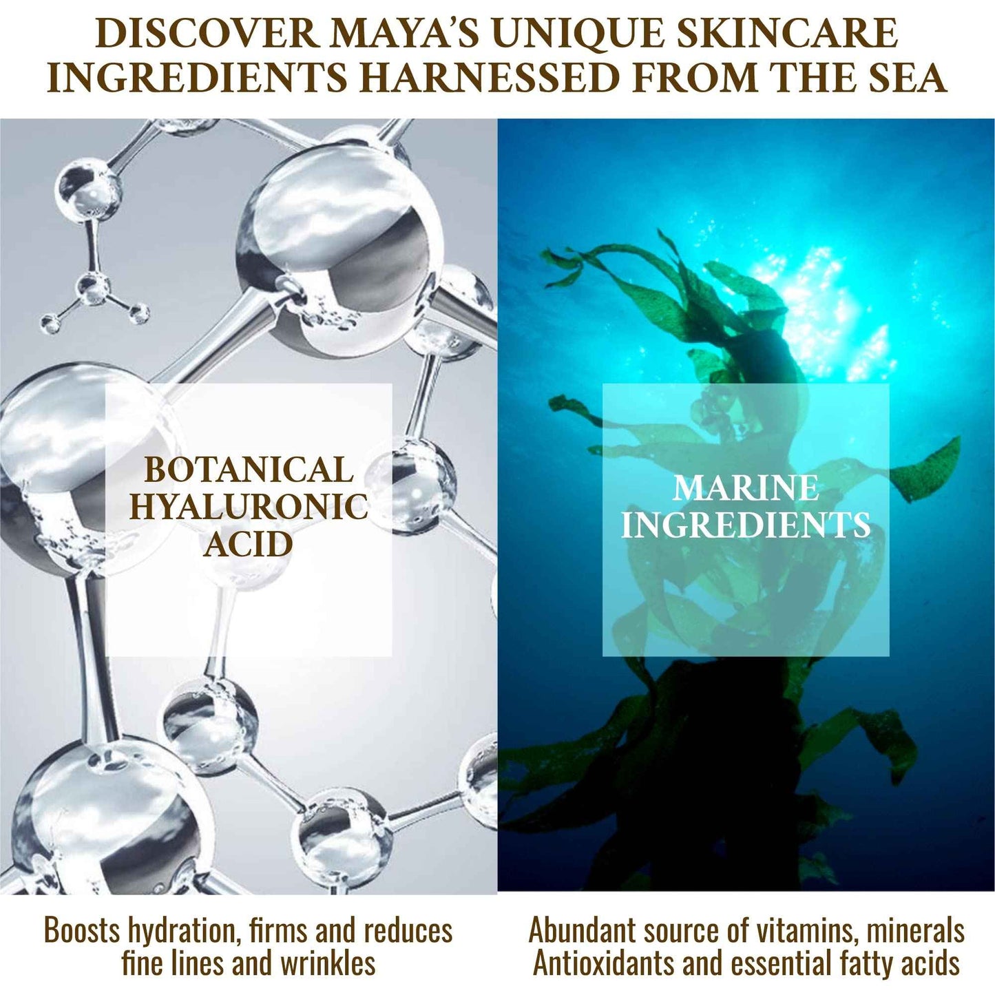 MAYA BEAUTY Skin Care Collagen Face Cream, Day and Night Cream, Anti Wrinkle Cream for Face Tightening and lifting cream with Hyaluronic acid, Anti Aging Face Moisturizer for Men and Women