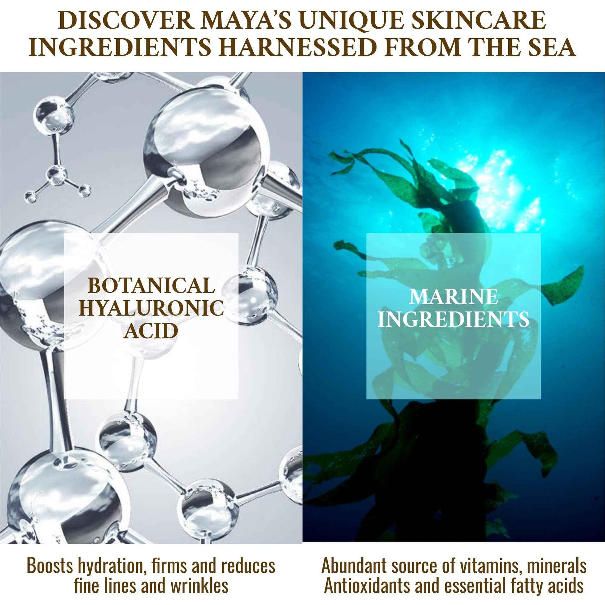 MAYA BEAUTY Skin Care Collagen Face Cream, Day and Night Cream, Anti Wrinkle Cream for Face Tightening and lifting cream with Hyaluronic acid, Anti Aging Face Moisturizer for Men and Women