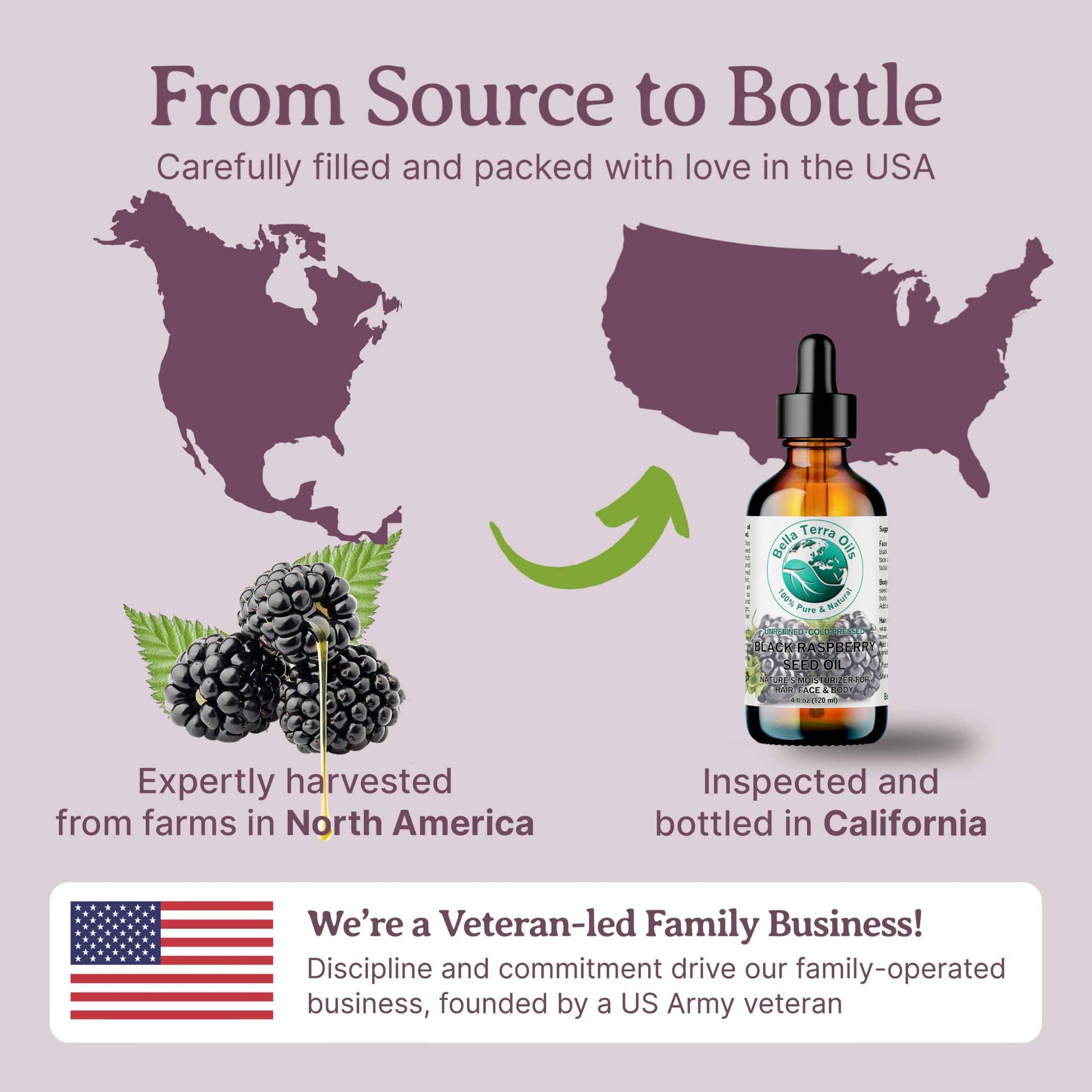 Bella Terra Oils - Black Raspberry Seed Oil 16 oz - Harness the Nutritional Excellence of Red Raspberry Oil, Abundant in Linoleic Acid & Alpha Linolenic Acid, The Ultimate Skin Luxury