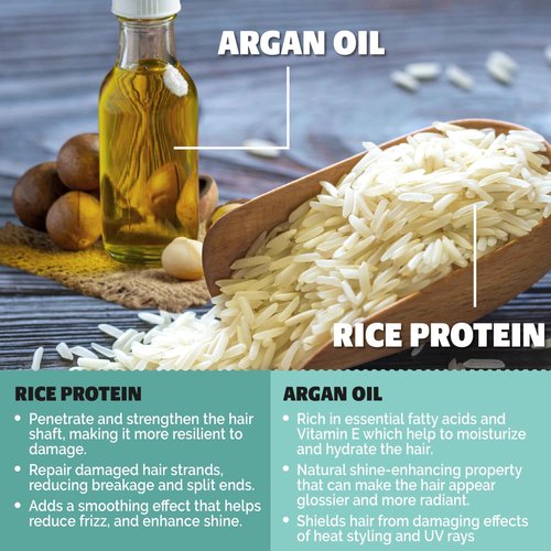 BOOTLEG BATH Strengthening Shampoo and Conditioner Bar Set with Rice Water Protein and Argan Oil, Vegan, Sulfate-Free, Phthalate-Free, Paraben-Free, Eco Friendly, 2.2 oz bars