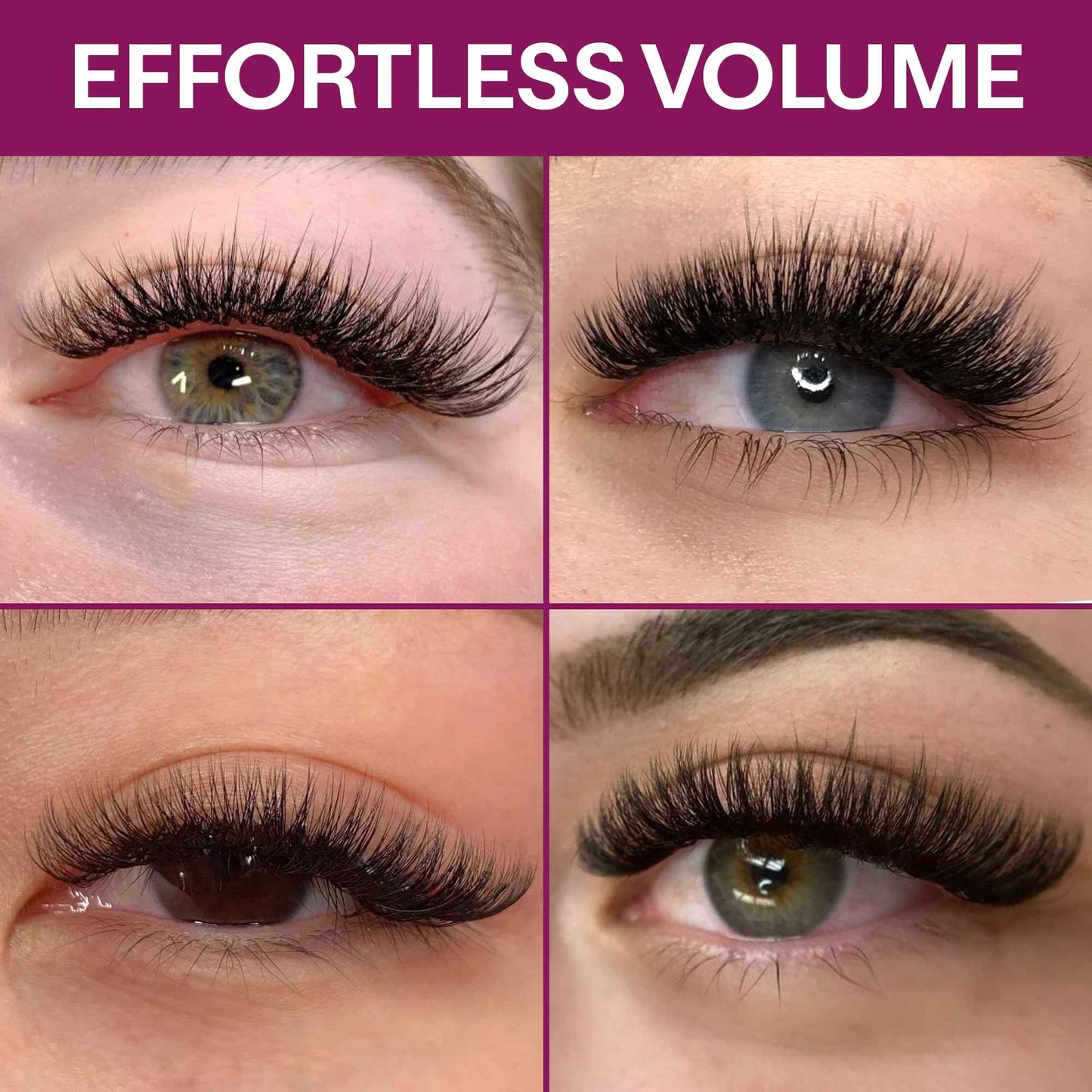 GLAMGAZE 800 Promade Fans 8-15mm Mixed Lengths - 5D to 16D, C CC D Curl, 0.05-0.07mm Thickness - Premade Lash Fans Volume Lash Extensions Loose Premade Fans Eyelash Extensions (10D-0.05-CC 8-15mm)