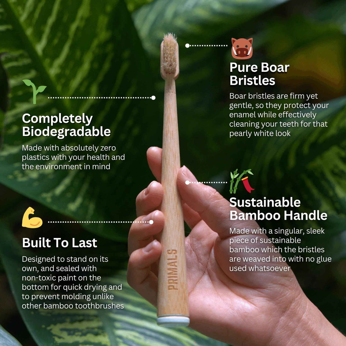 PRIMALS Boar Bristle & Bamboo Toothbrush (4-Pack) - Premium Boar Bristles - Fully Biodegradable - Plastic & Nylon Free - Quick Dry Design