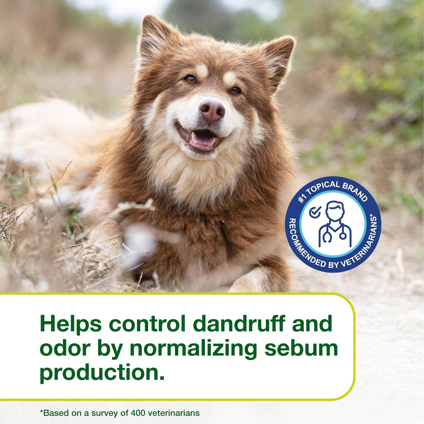 Douxo S3 Seb Mousse, Contains 0.5% Ophytrium, Odor Control & Seboregulating, For Oily to Flaky Skin, Seborrhea, For Dogs and Cats, 5.1 fl. oz. (150mL)